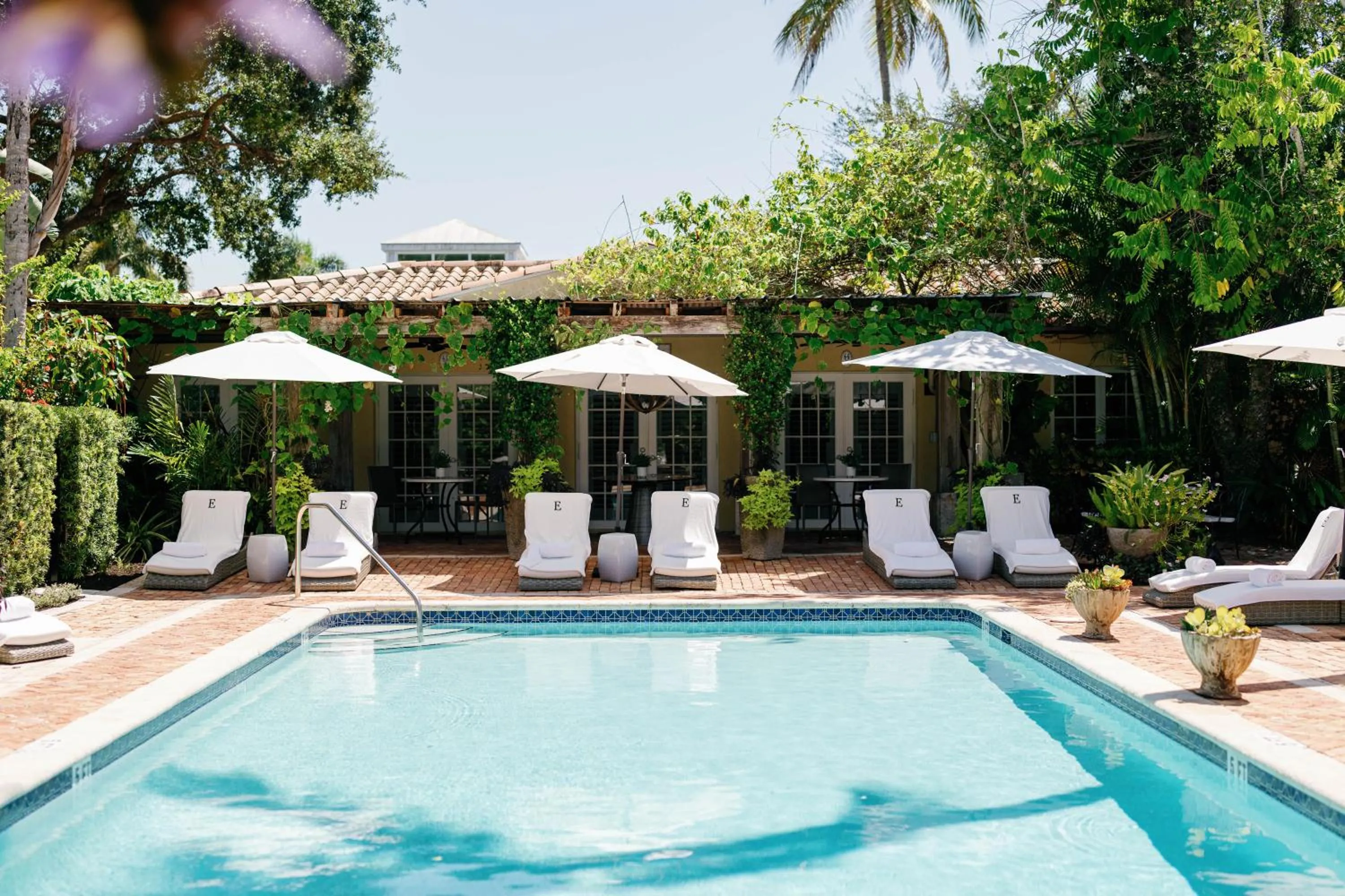 Garden in Hotel Escalante