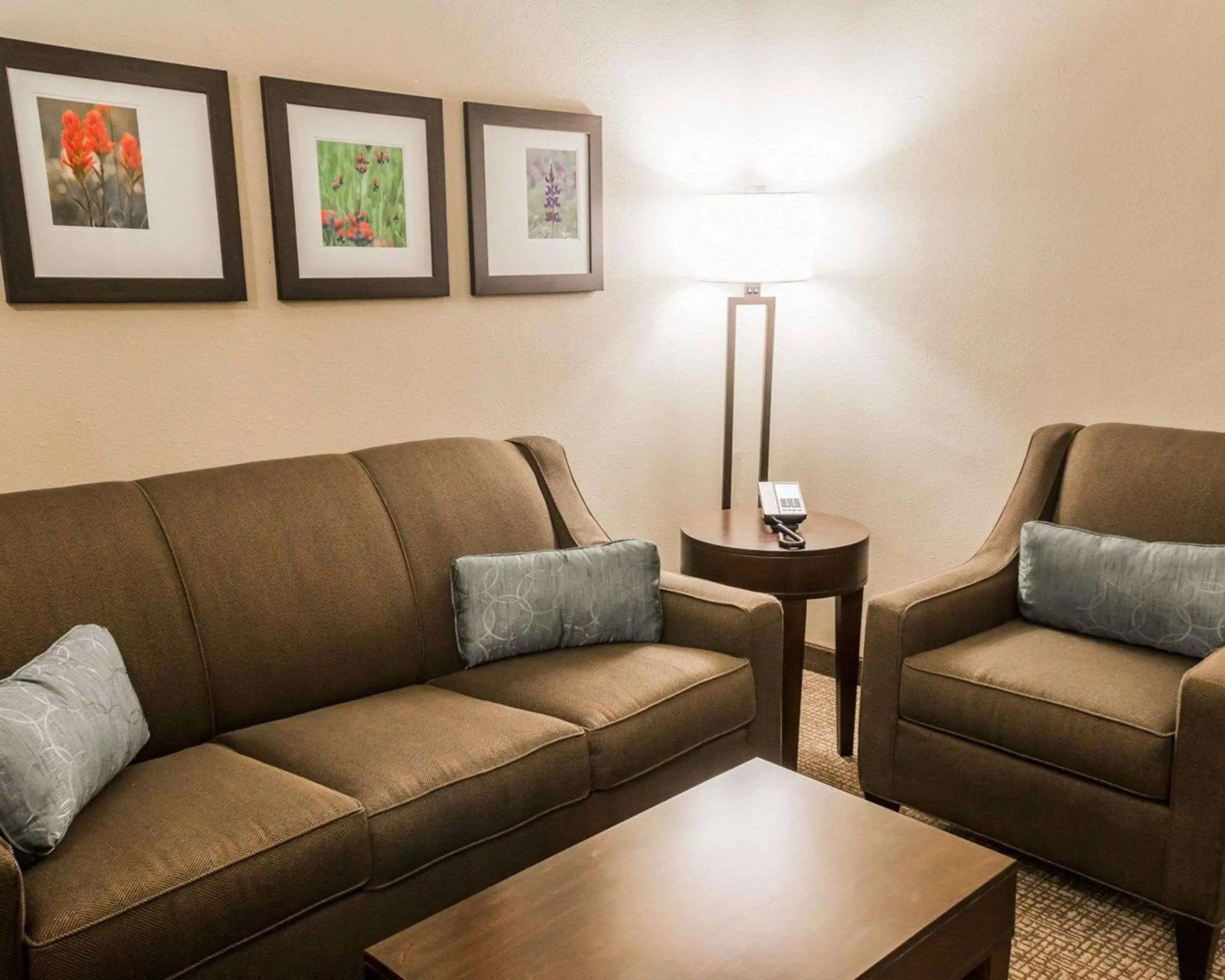 Photo of the whole room in Comfort Inn & Suites Pharr - McAllen
