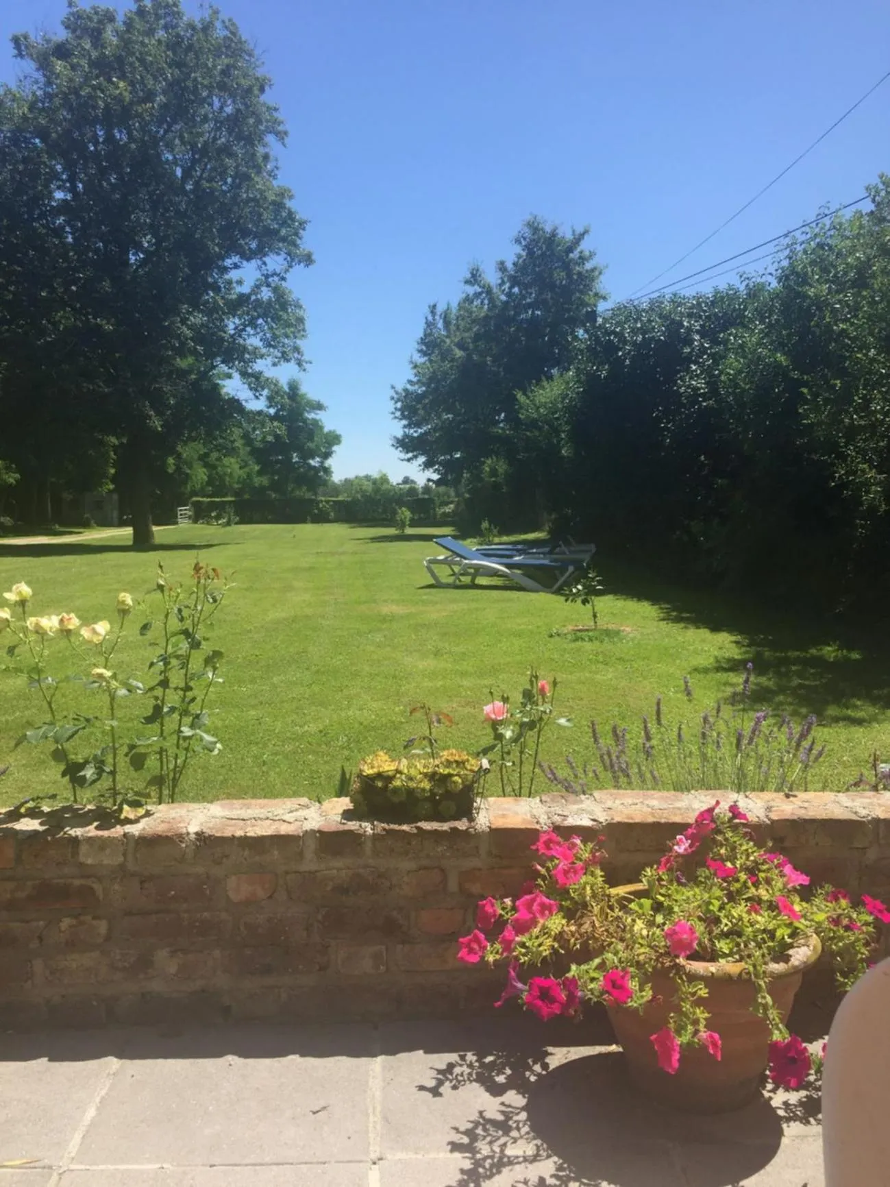 Garden in LE CLOS DU GOLF