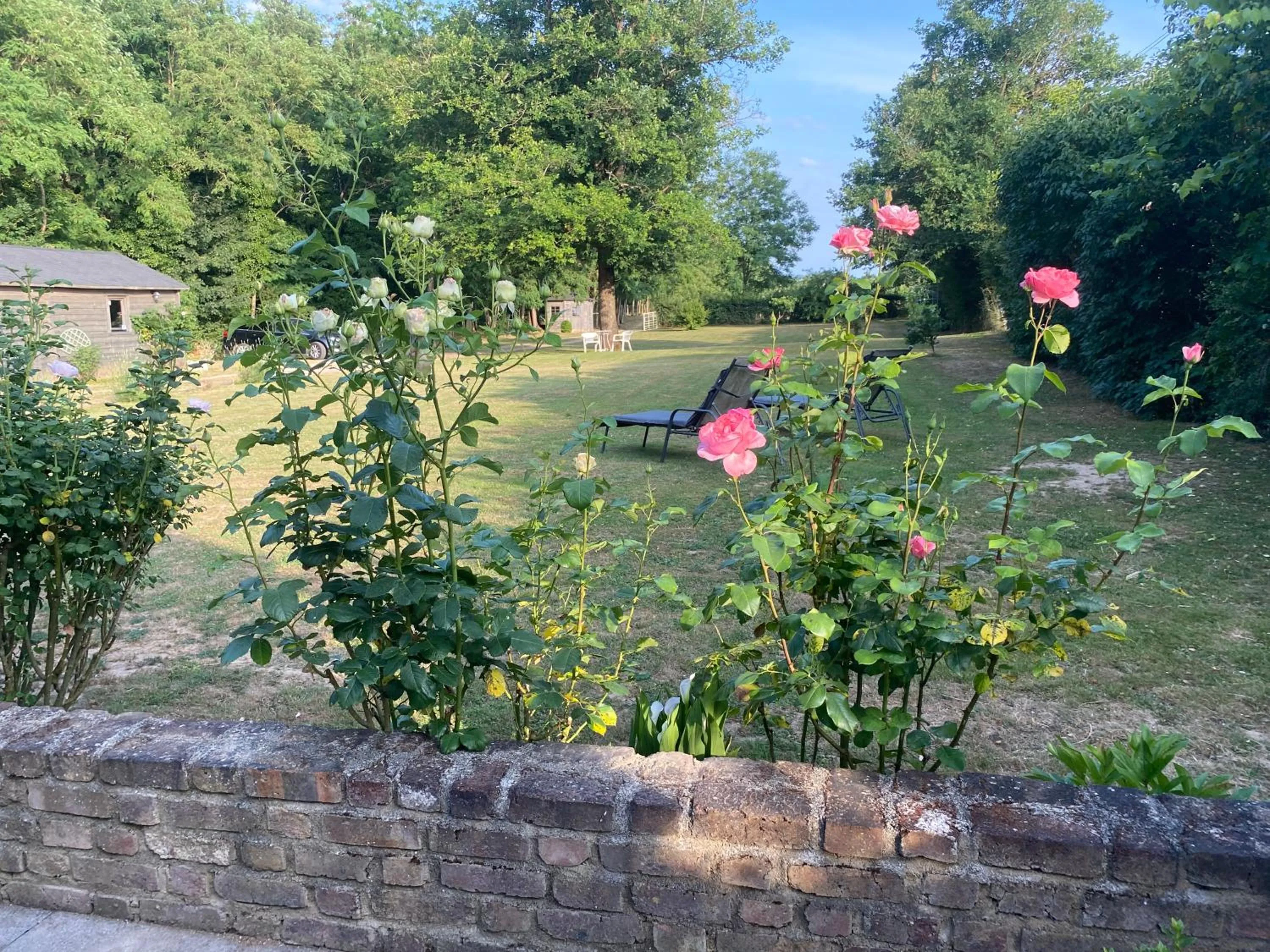 Garden in LE CLOS DU GOLF