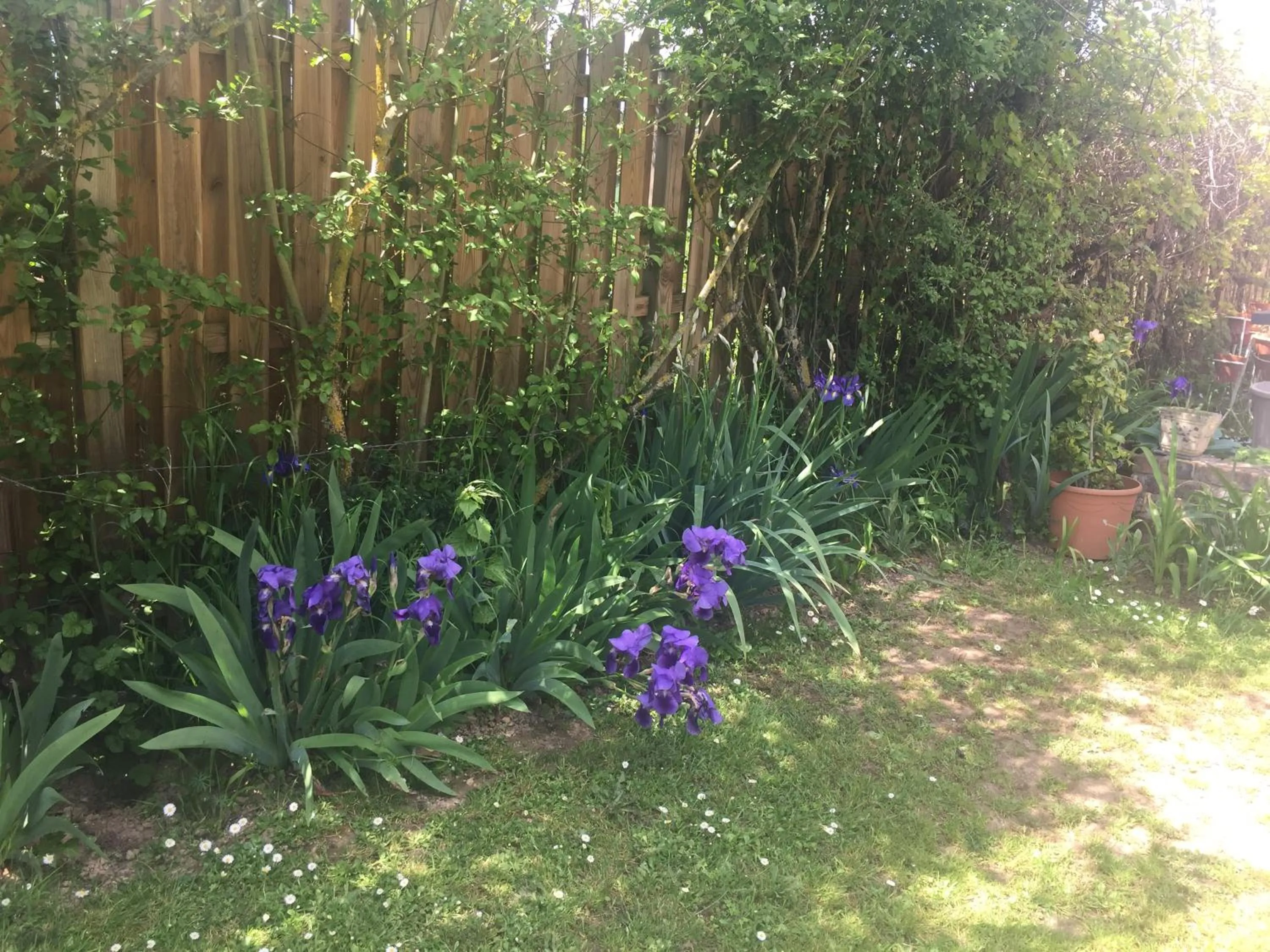 Property building in LE CLOS DU GOLF