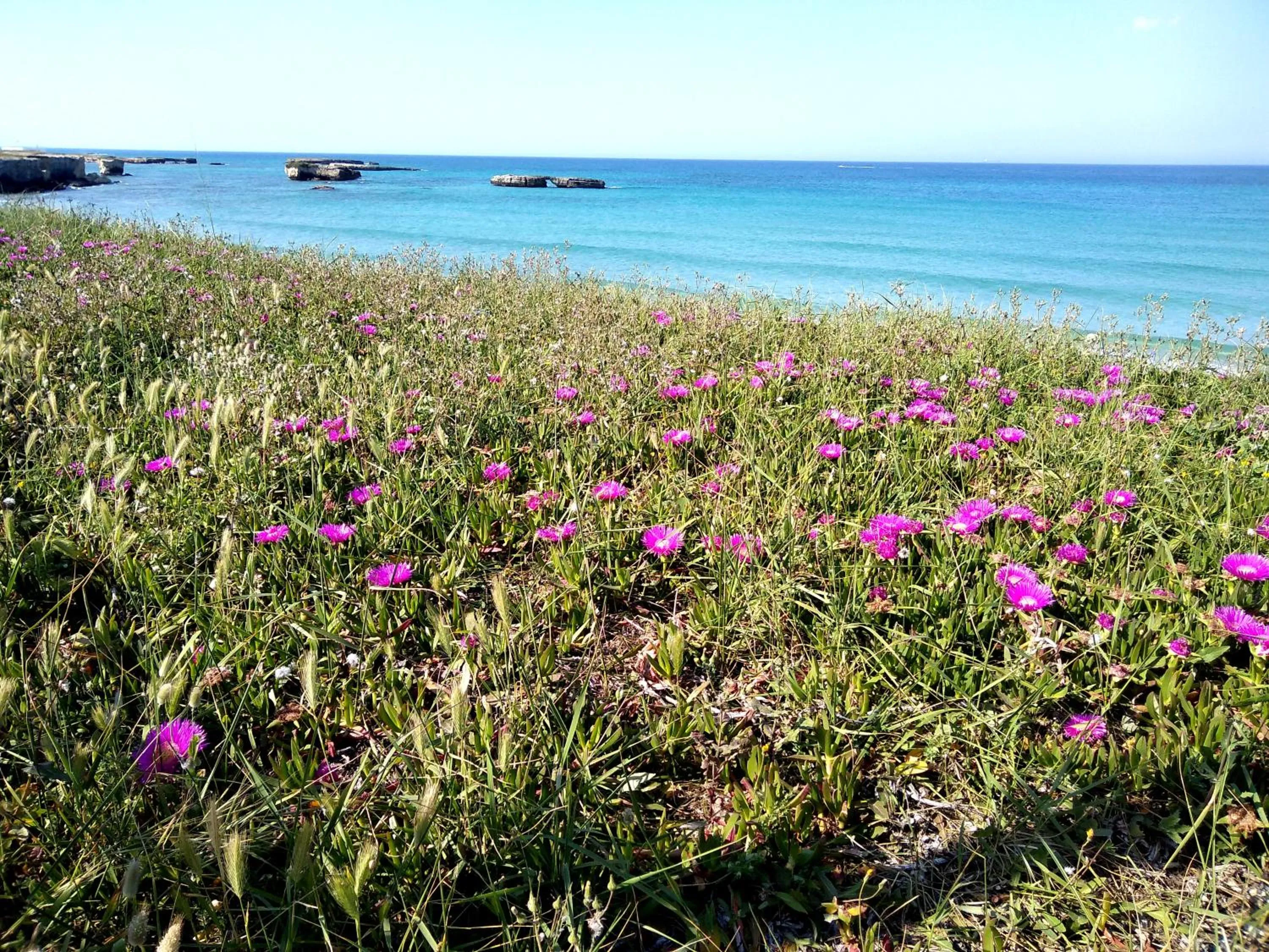 Natural landscape in Li Perrini Boutique B&B