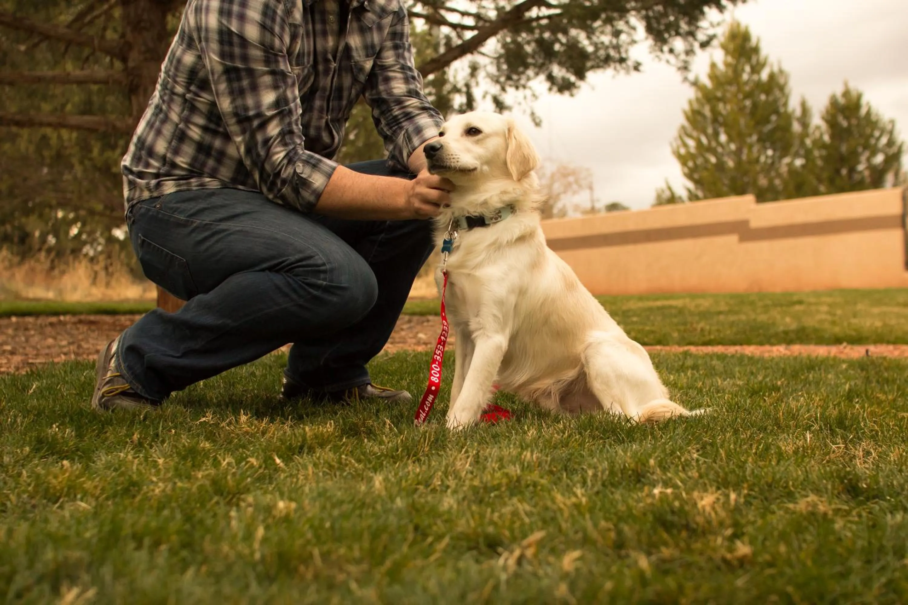 Pets in Sedona Real Inn & Suites
