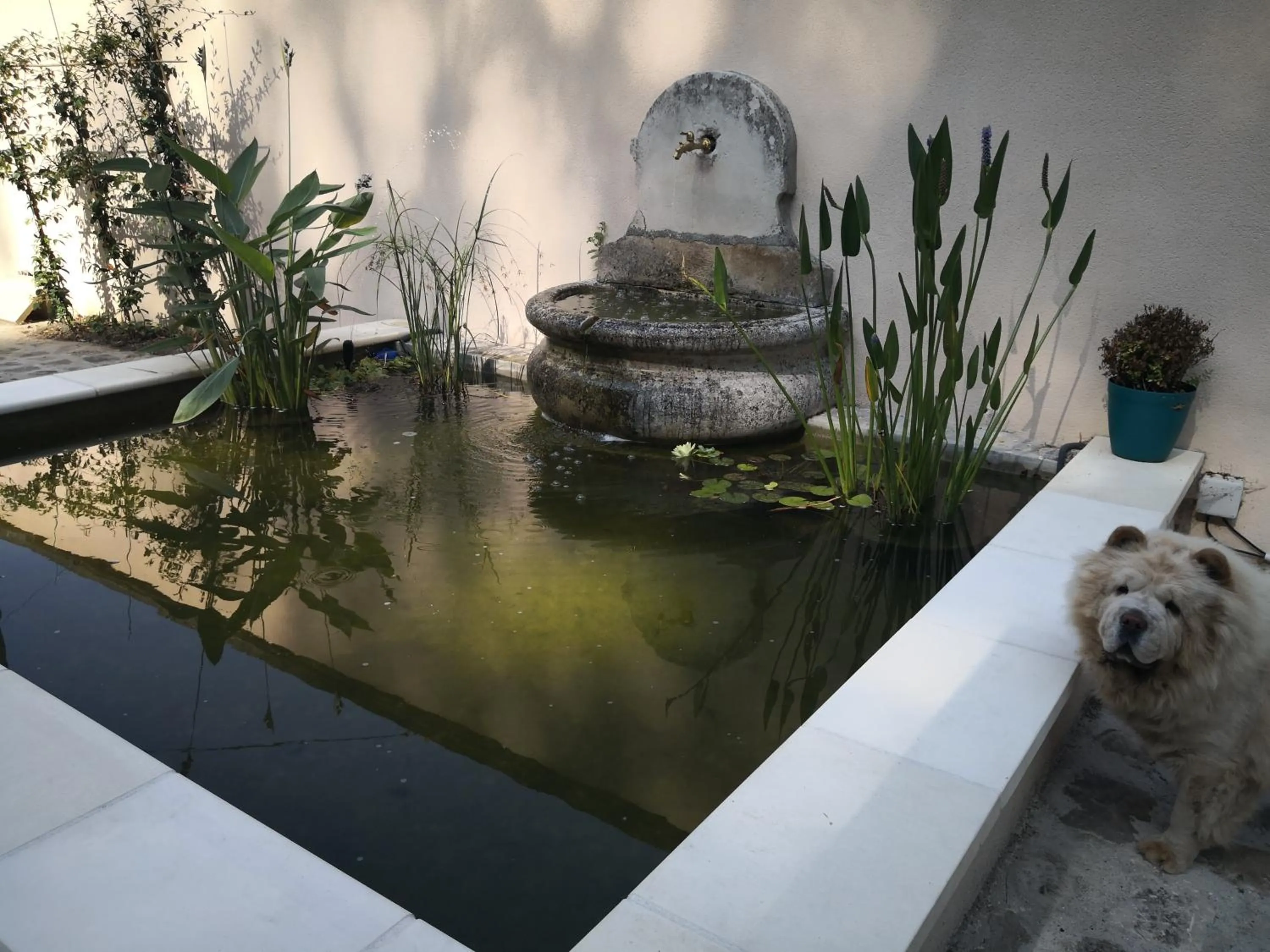 Garden in Les 7 Sources