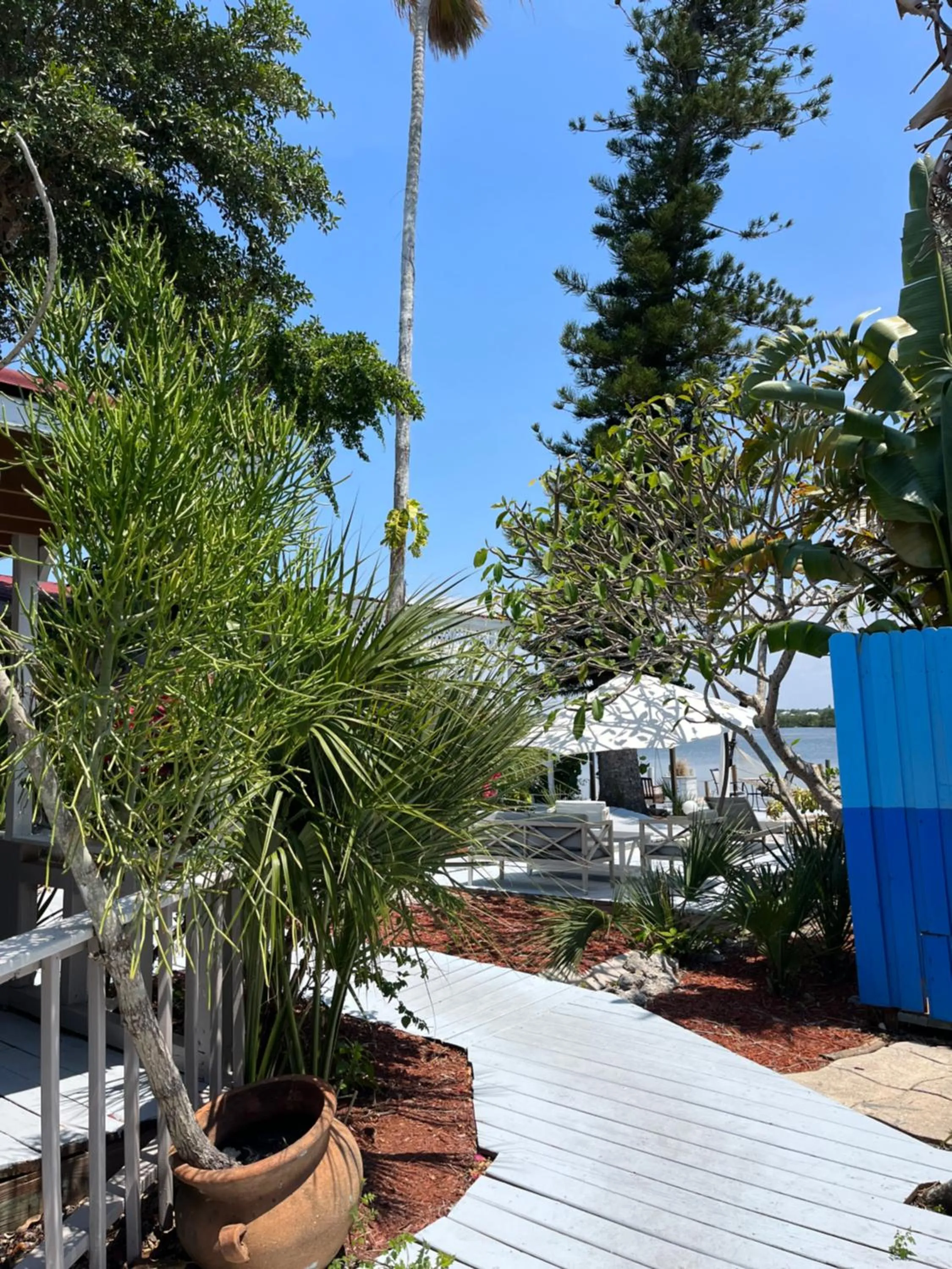 Garden view in Turtle Beach Resort