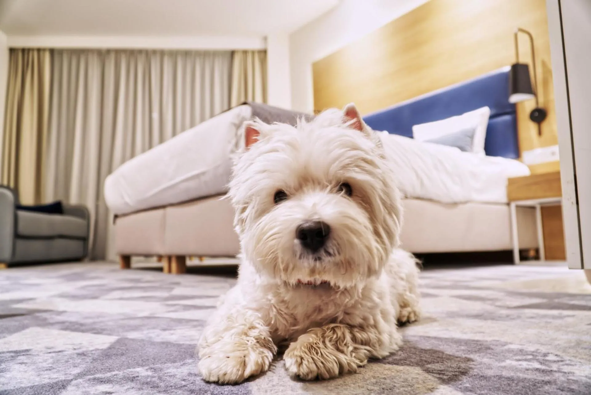 Animals in Seaside Park Hotel