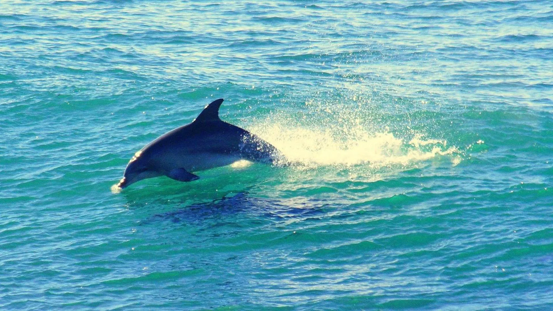 Sea view in Mollymook Beach Waterfront