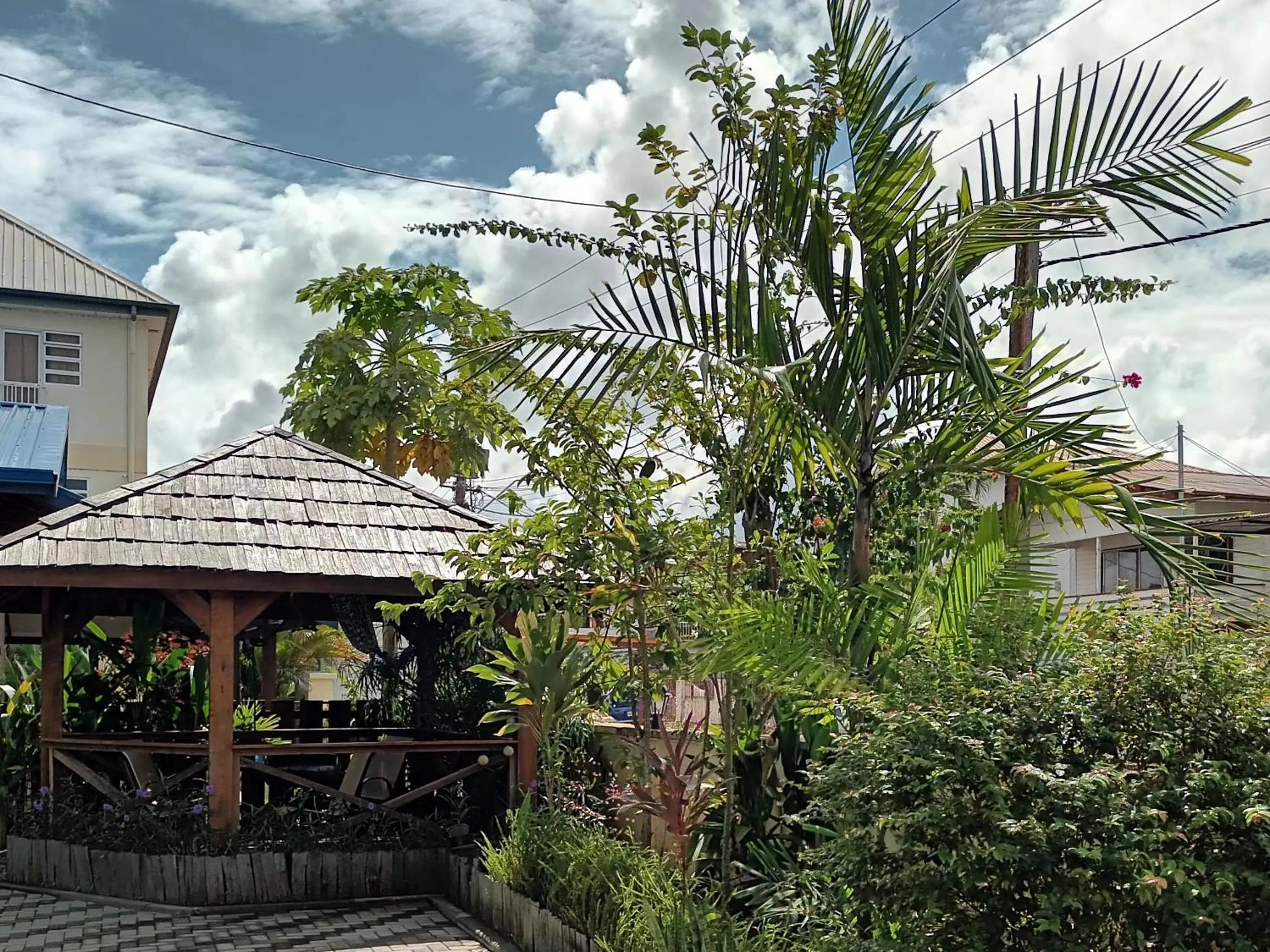 Day in Max Garden and Pool