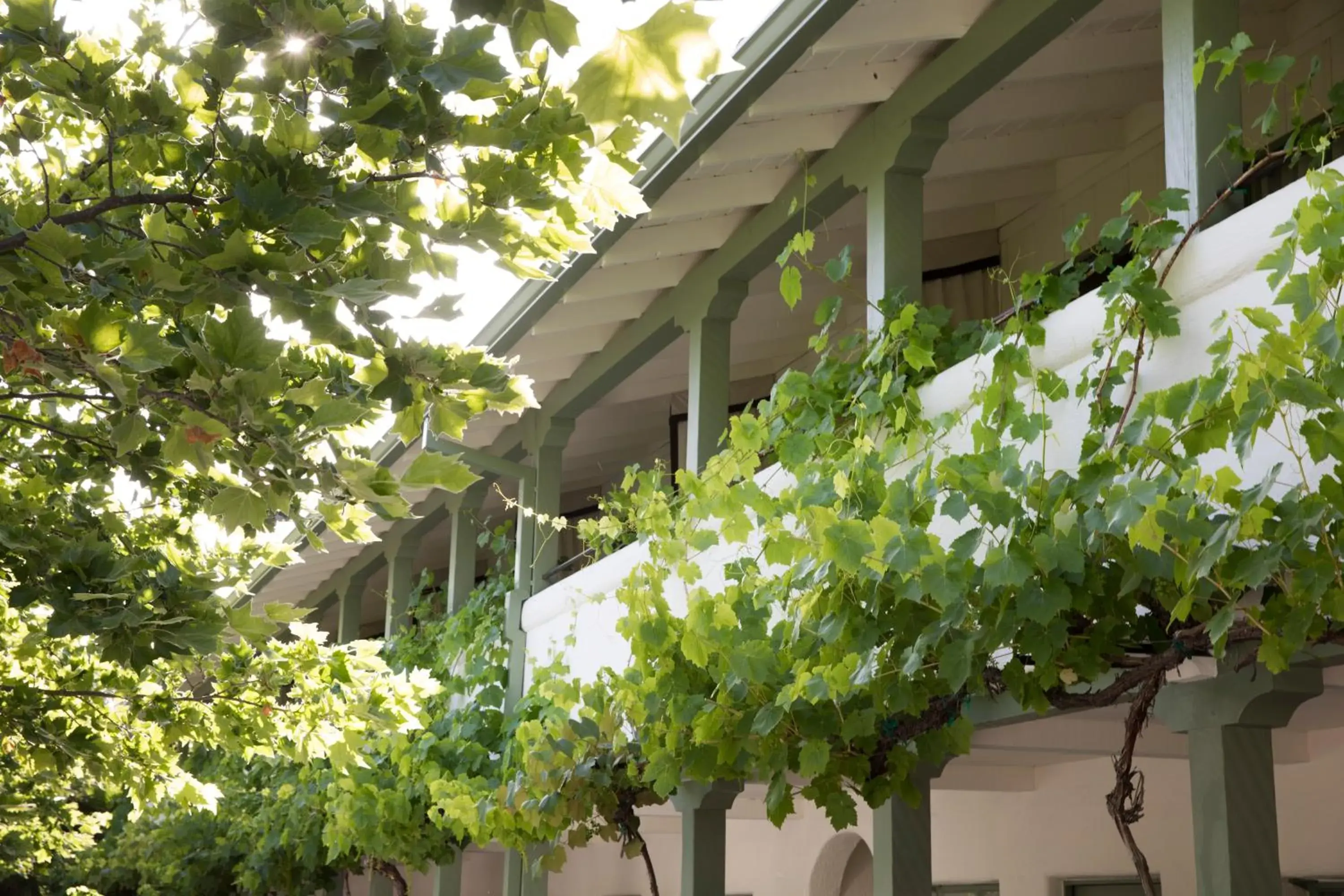 Indian Springs Resort & Spa Indian Springs Resort & Spa