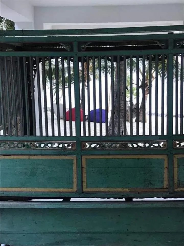 Eco dive resort Alycastre