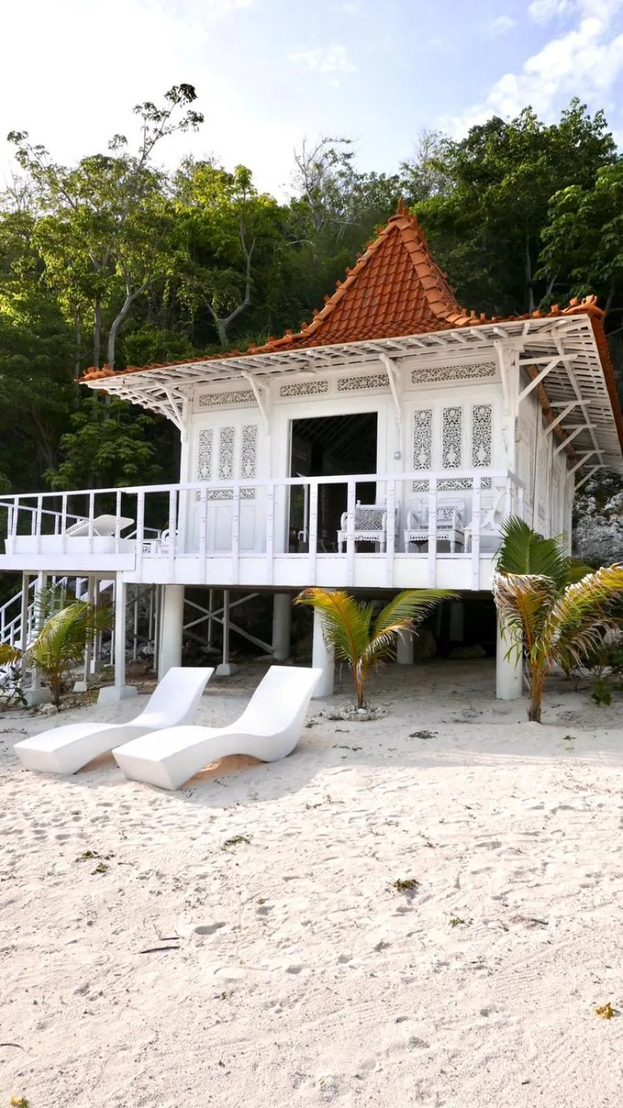 Eco dive resort Alycastre