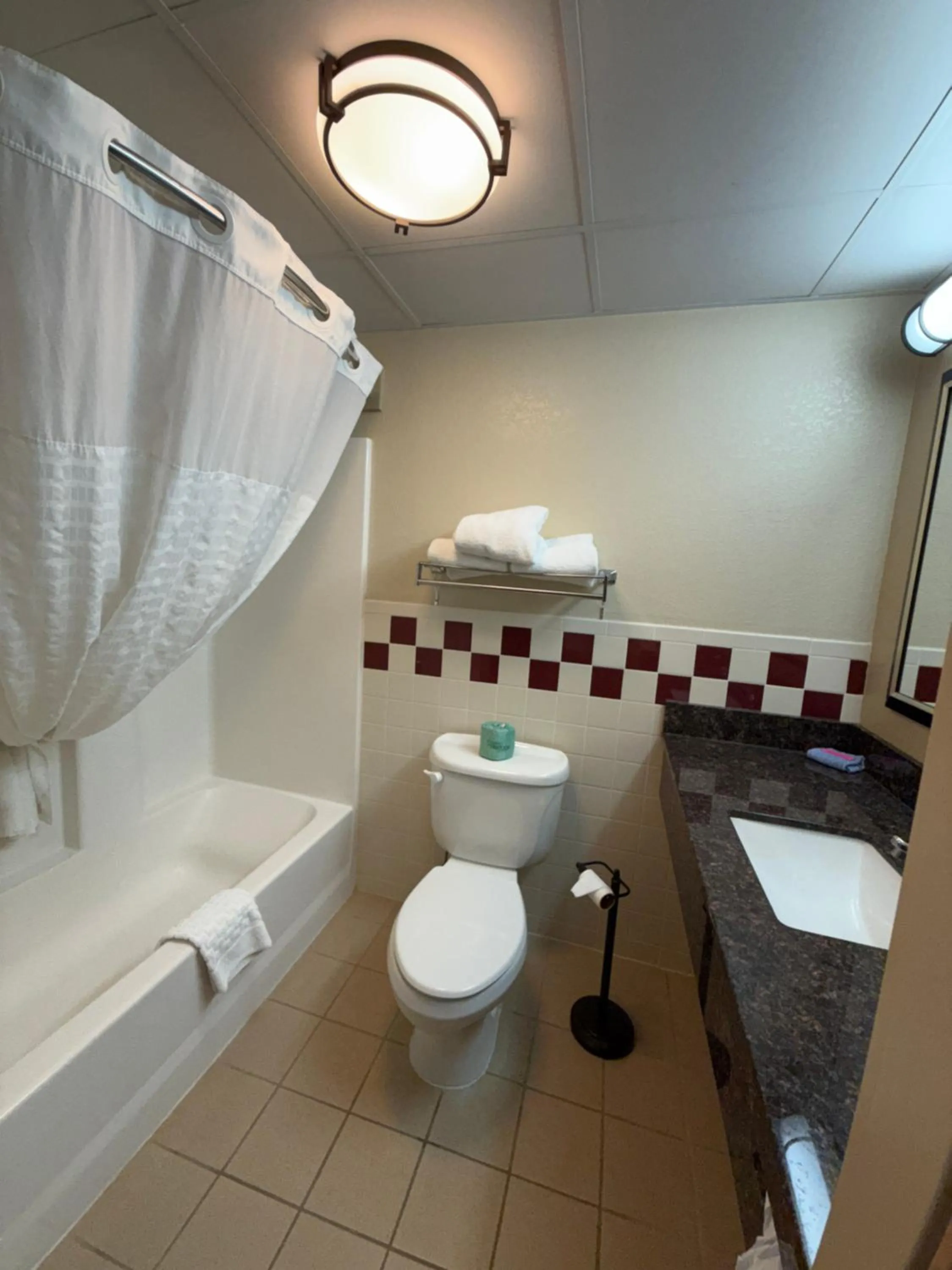 Shower in Rodeway Inn Hesston