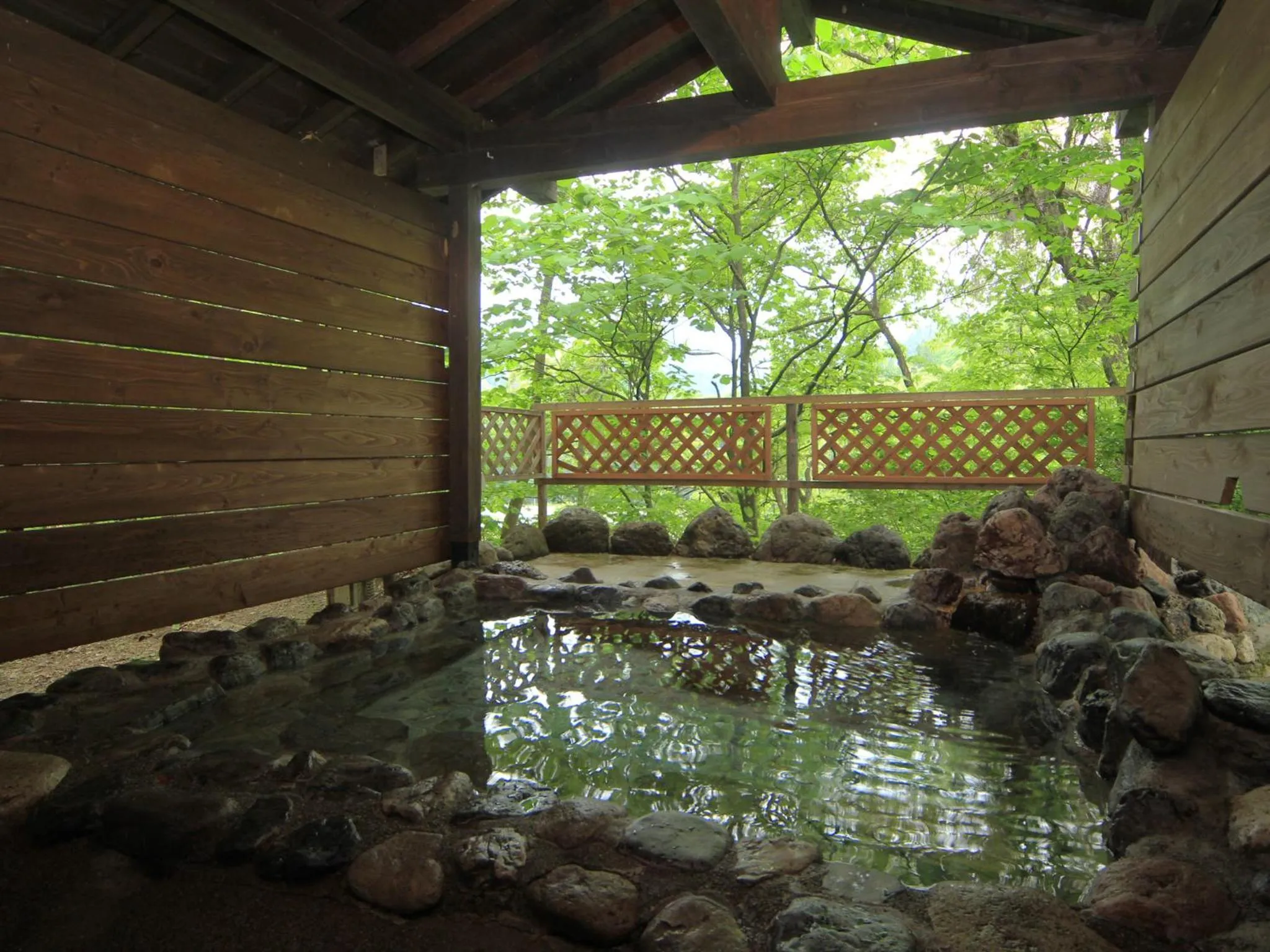 Hot Spring Bath in Bunanoyado Koase