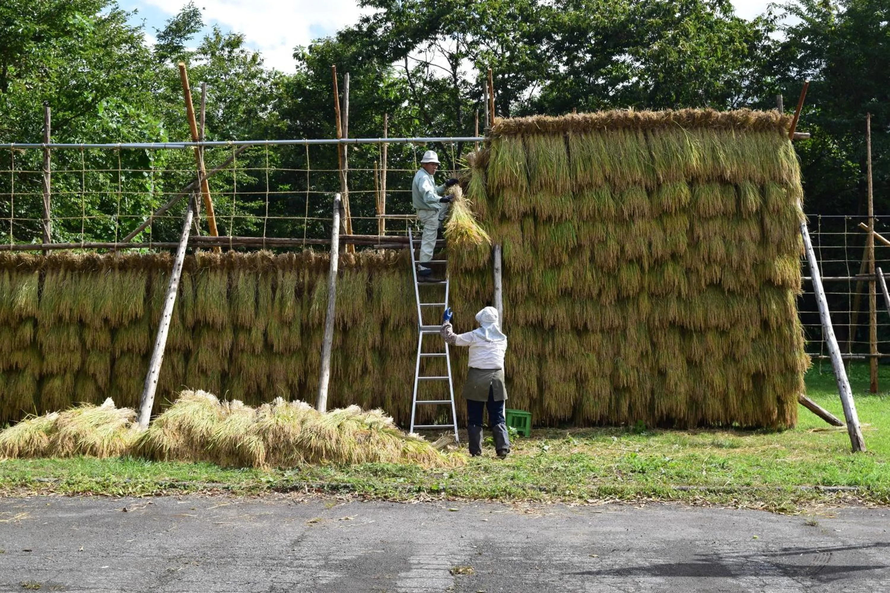 Other in Bunanoyado Koase