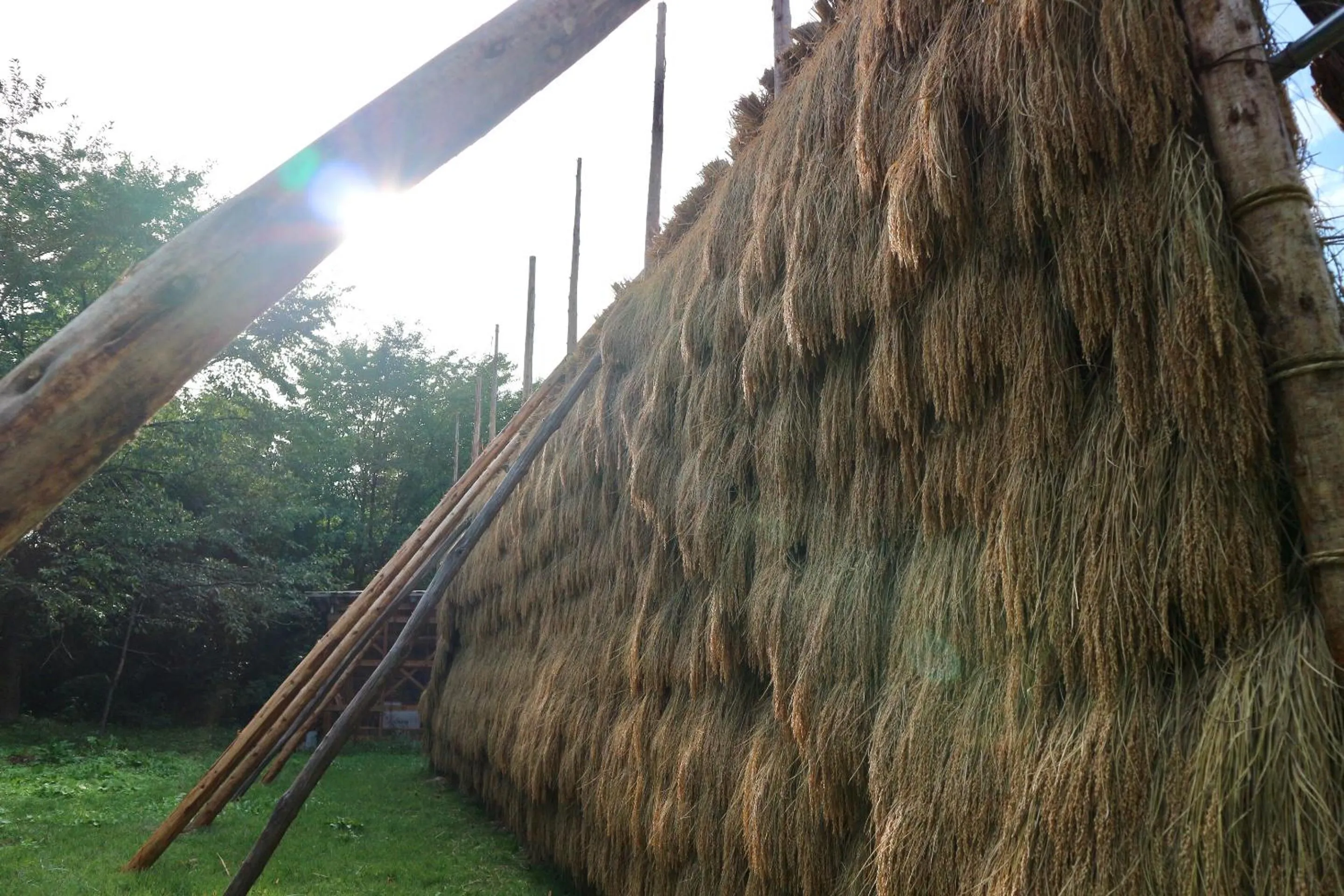 Food and drinks in Bunanoyado Koase