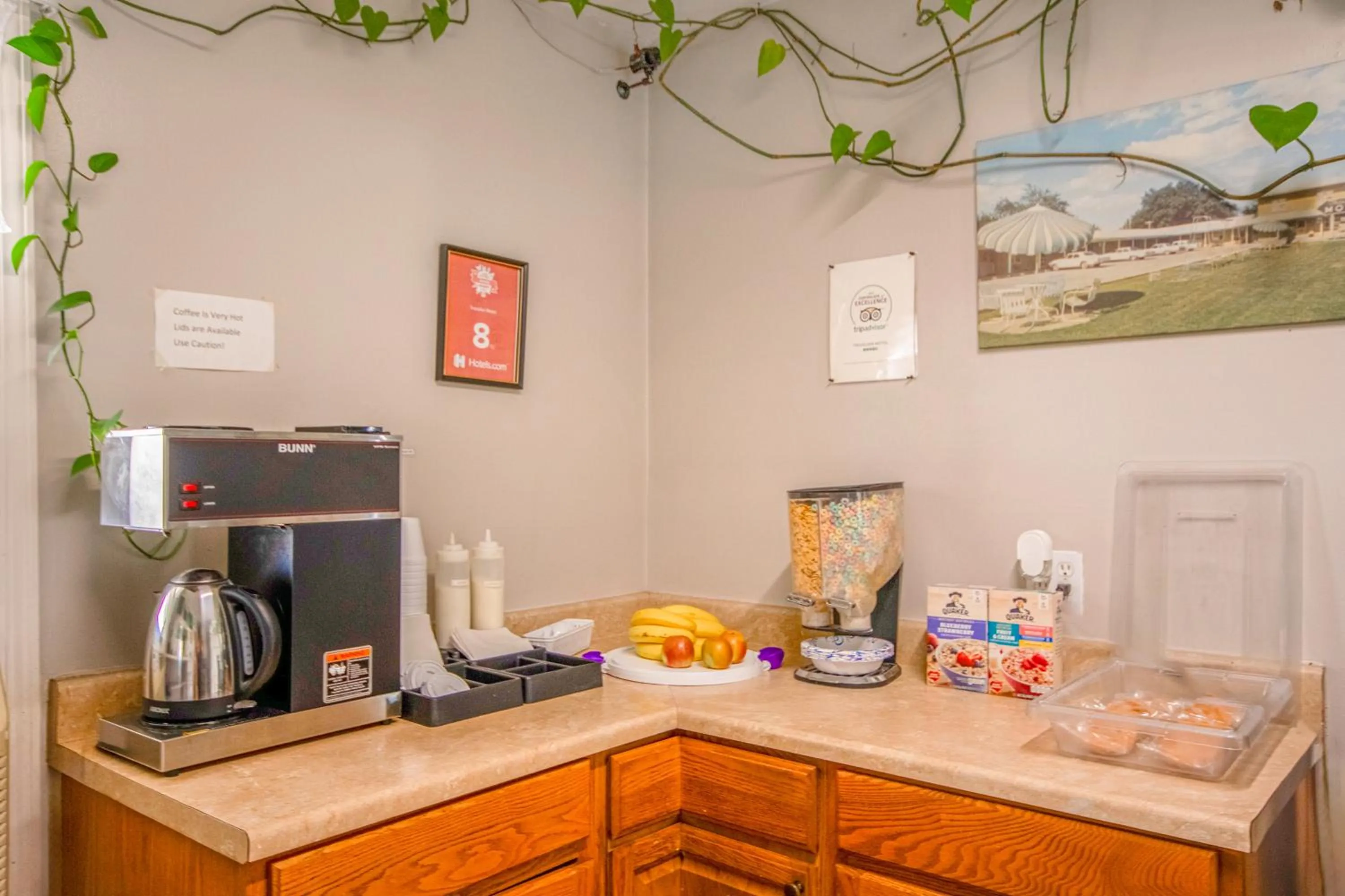 Breakfast in OYO Travelier Motel