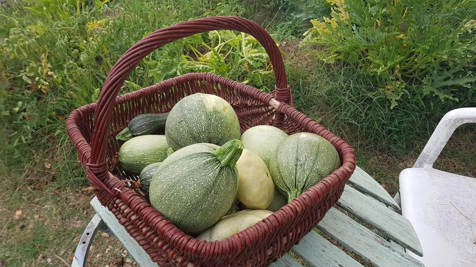 Garden in Mas des Ballats