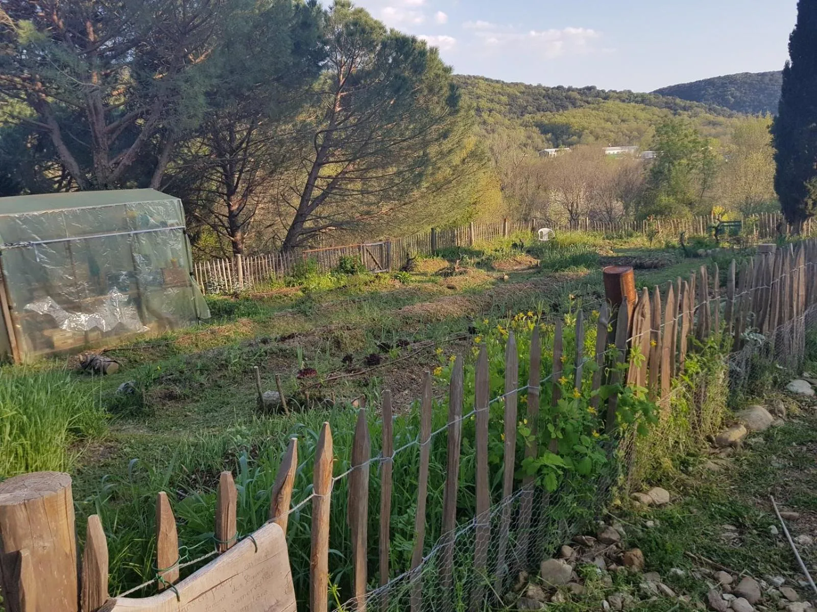 Natural landscape in Mas des Ballats