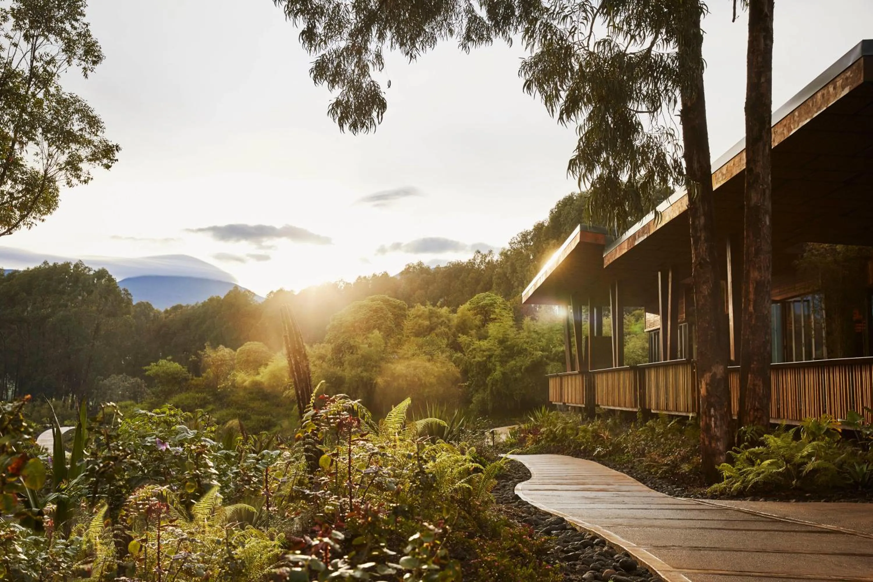 Property building in One&Only Gorilla's Nest