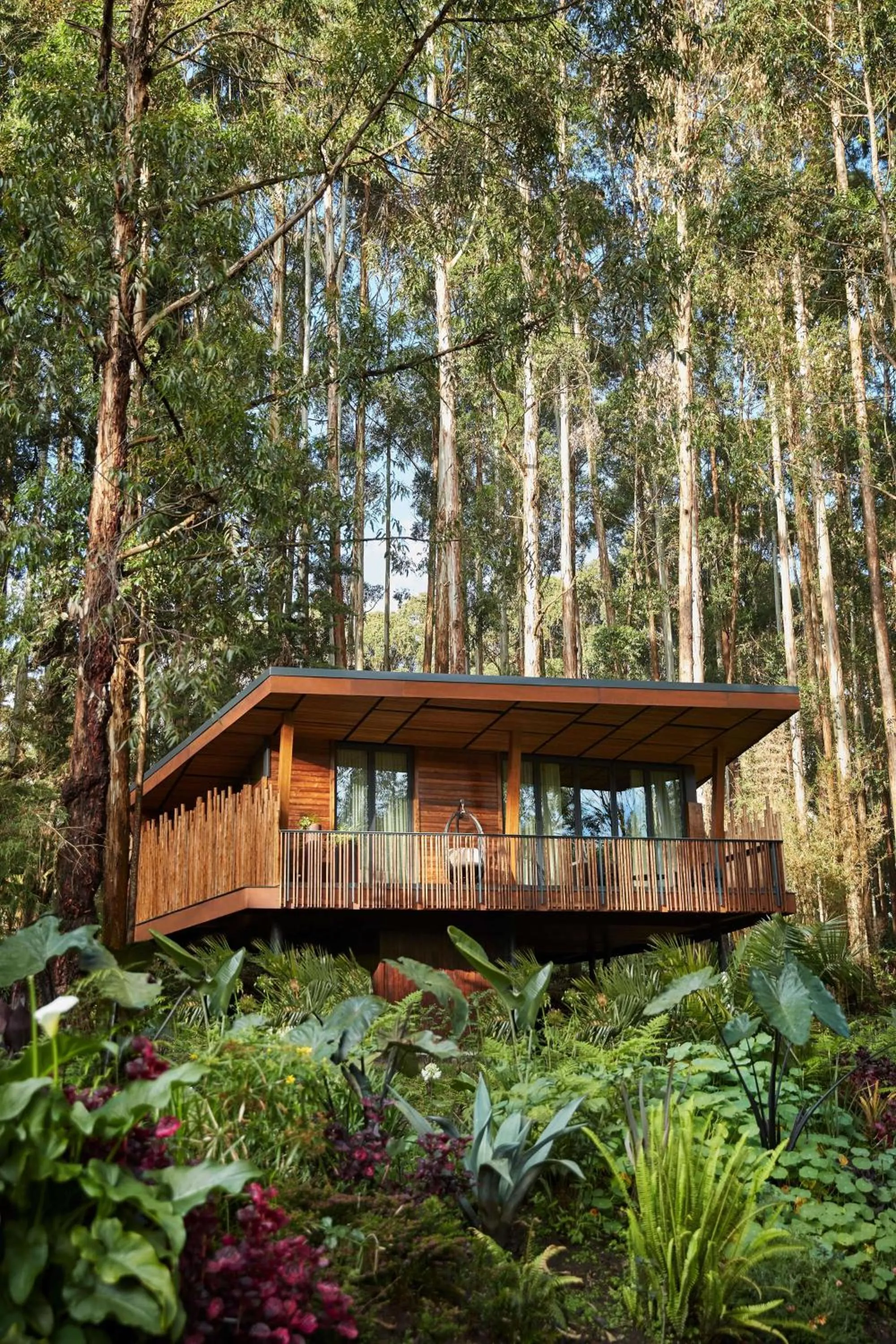 Property building in One&Only Gorilla's Nest