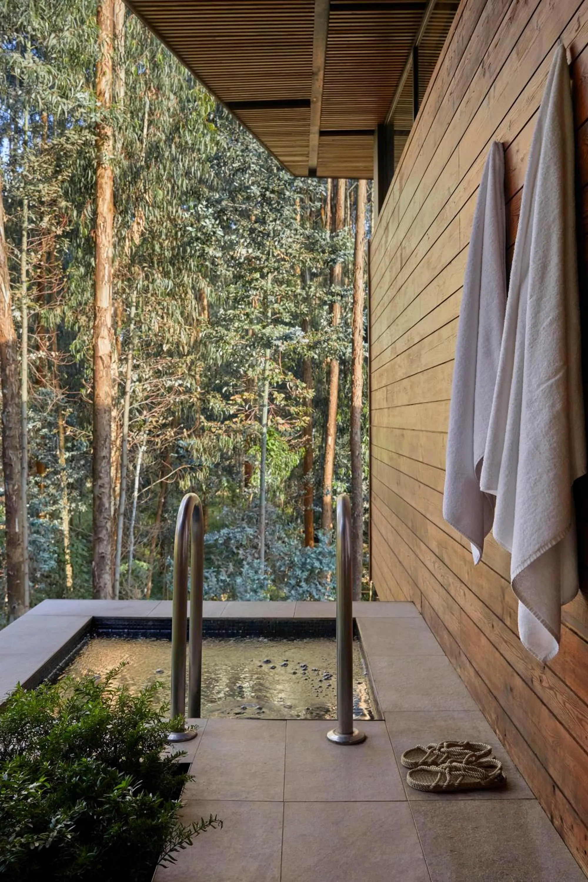 View (from property/room) in One&Only Gorilla's Nest