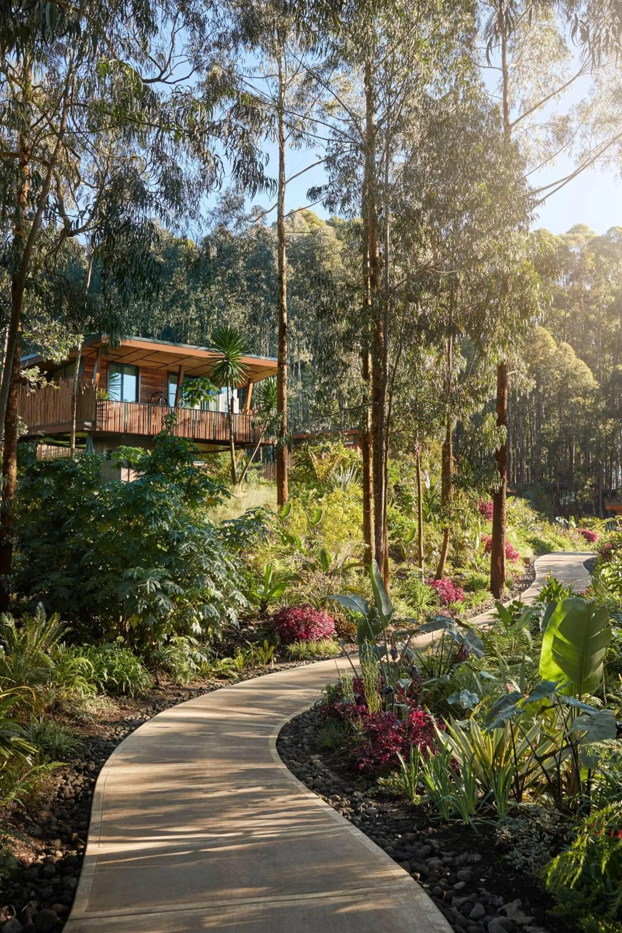 Property building in One&Only Gorilla's Nest