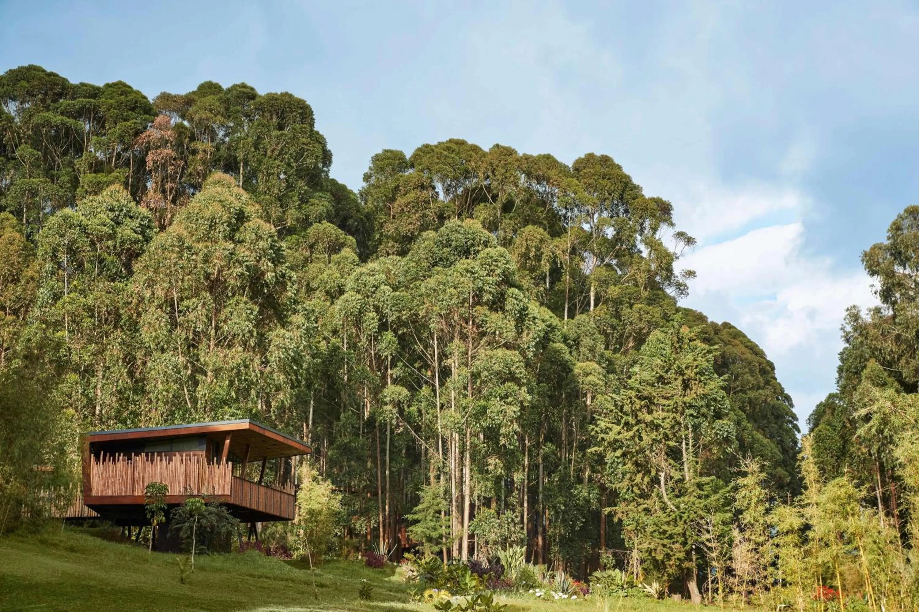 Natural landscape in One&Only Gorilla's Nest