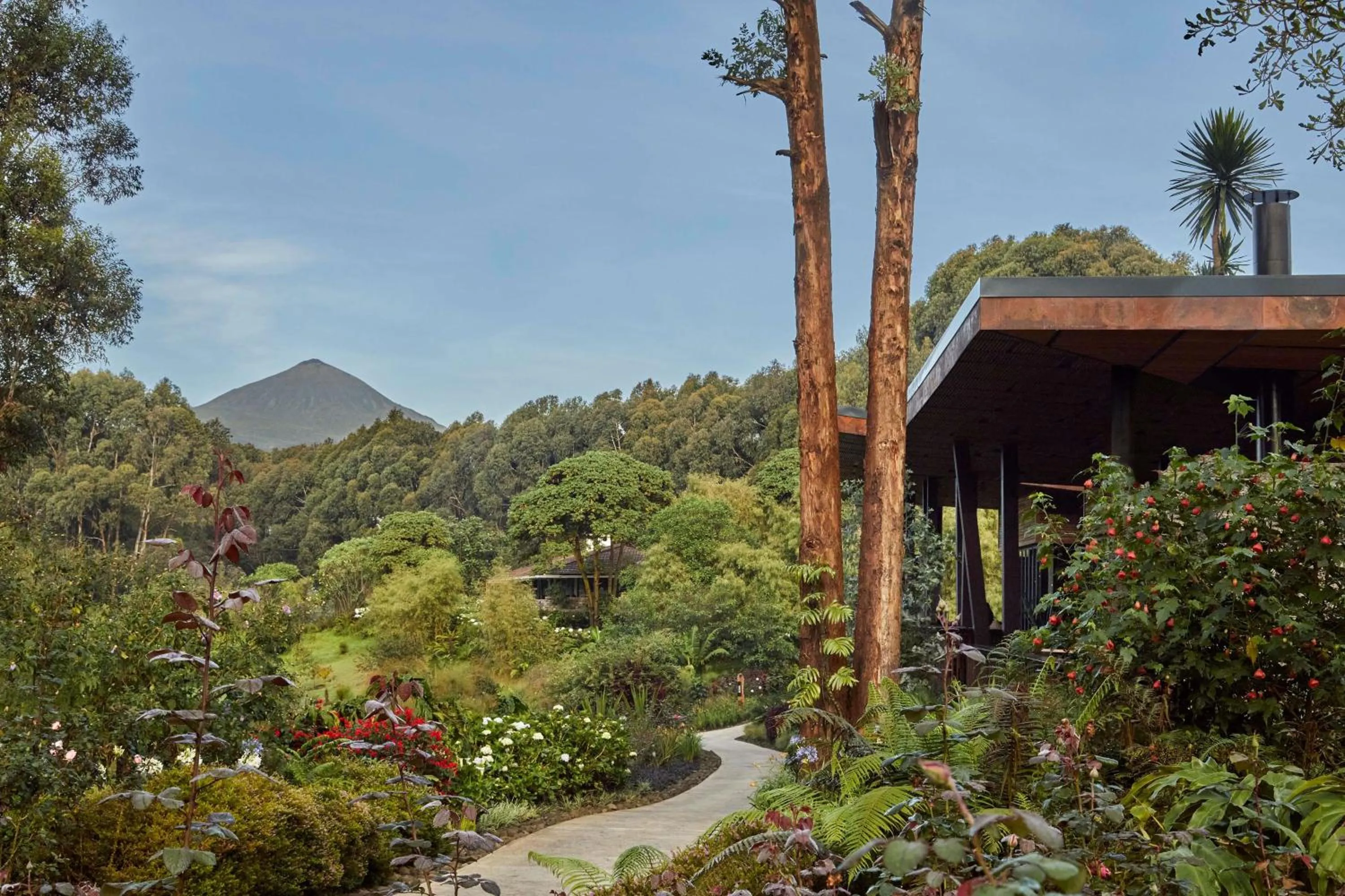 Garden in One&Only Gorilla's Nest