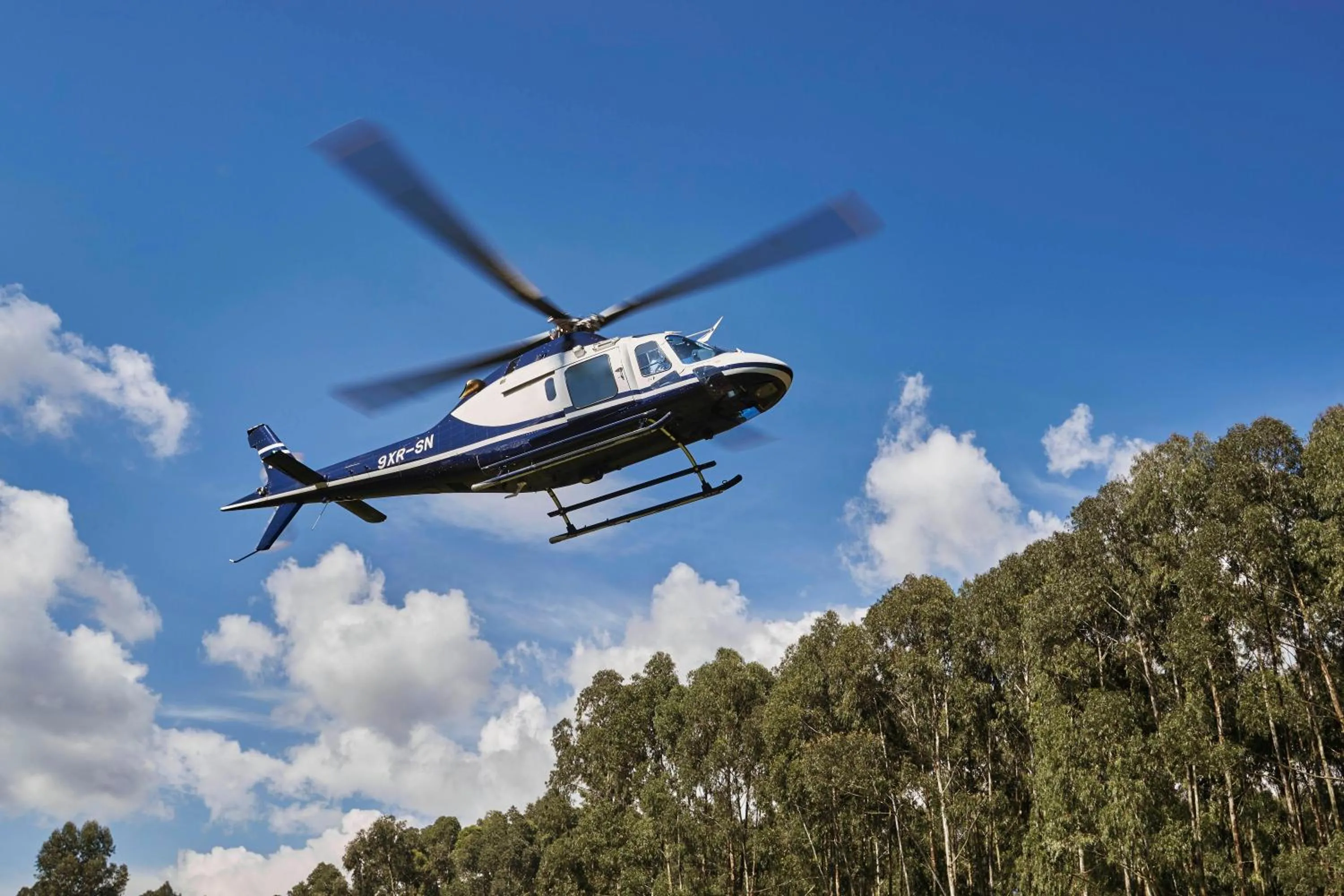 Natural landscape in One&Only Gorilla's Nest