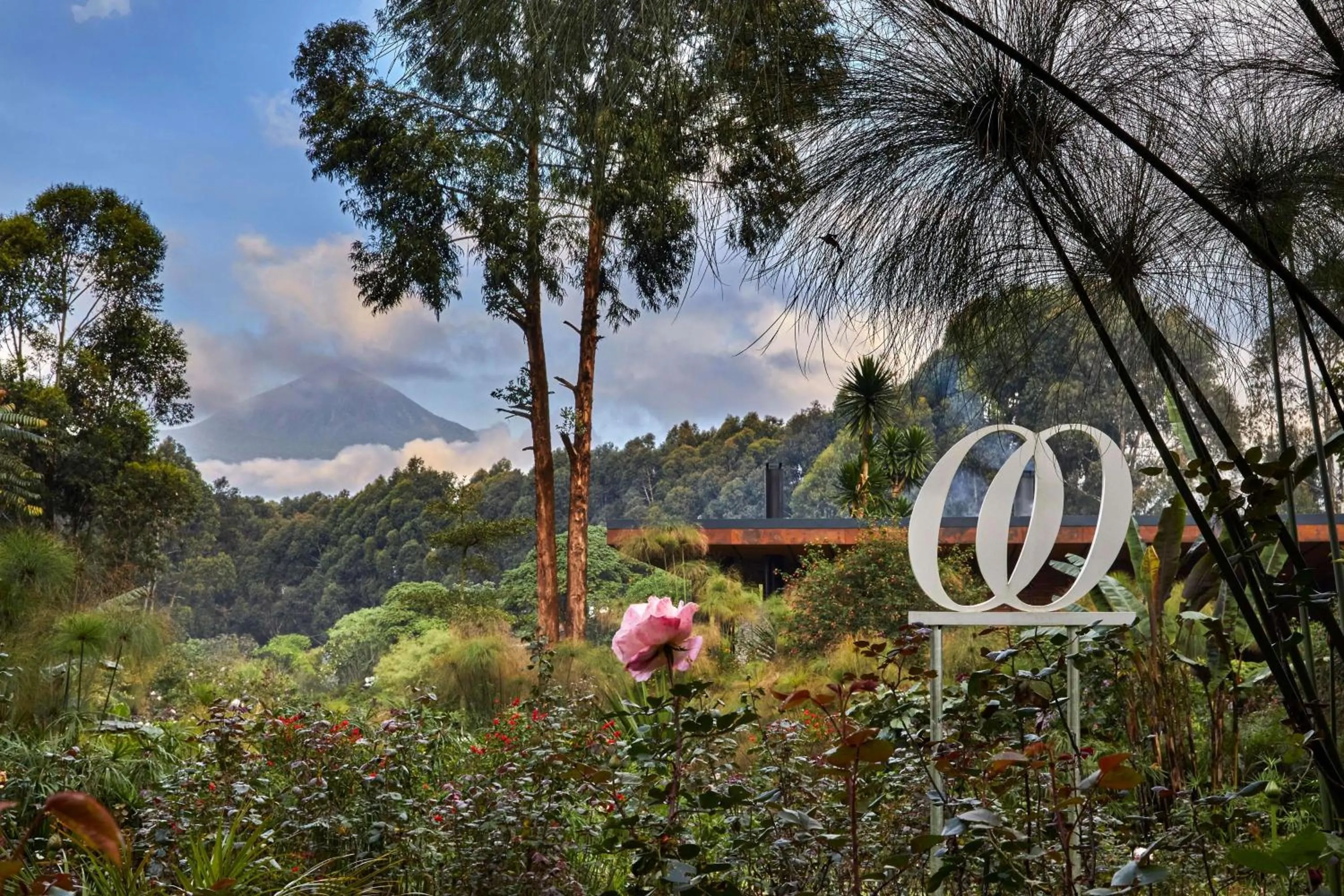 Garden in One&Only Gorilla's Nest