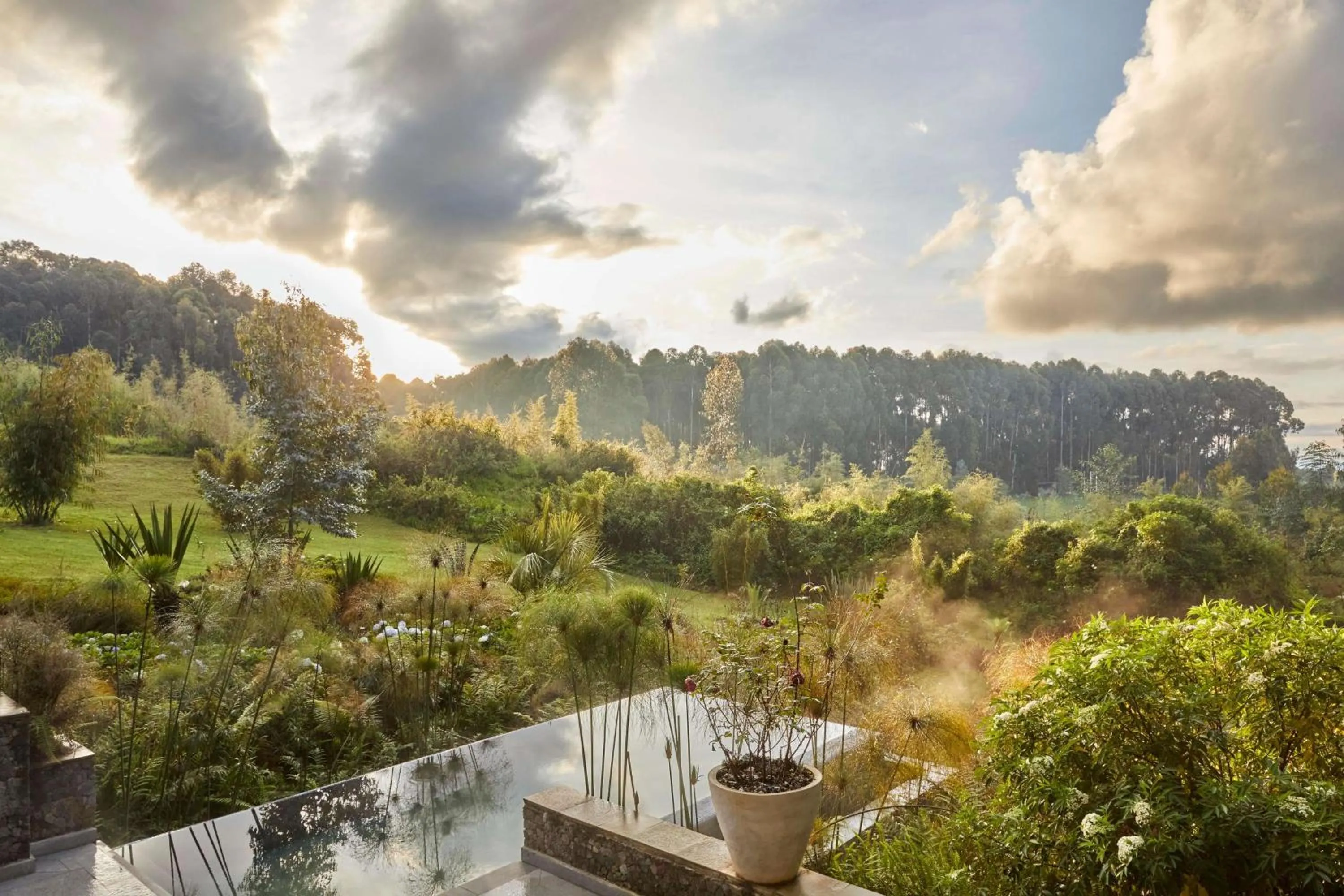 View (from property/room) in One&Only Gorilla's Nest