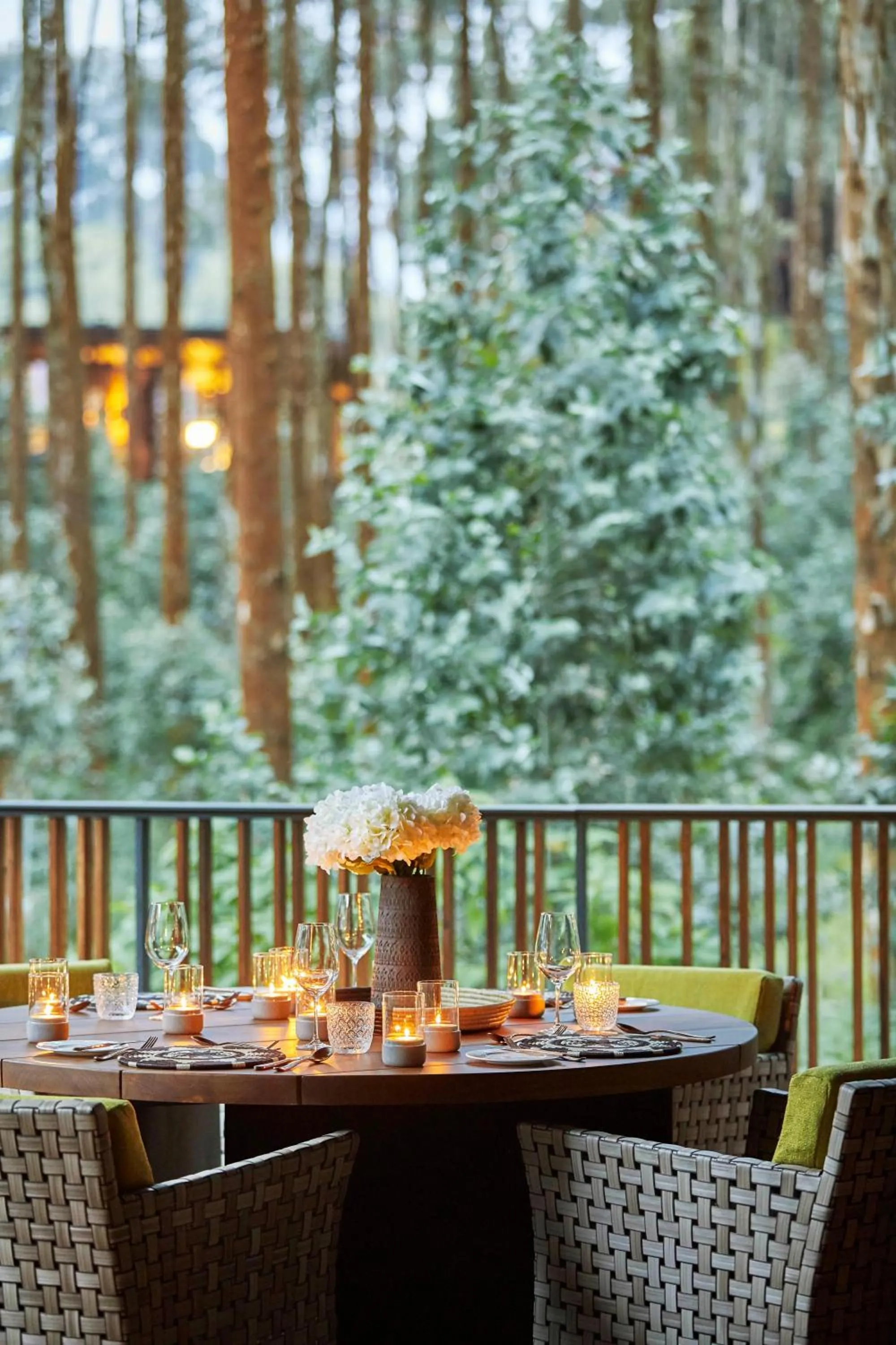 Photo of the whole room in One&Only Gorilla's Nest