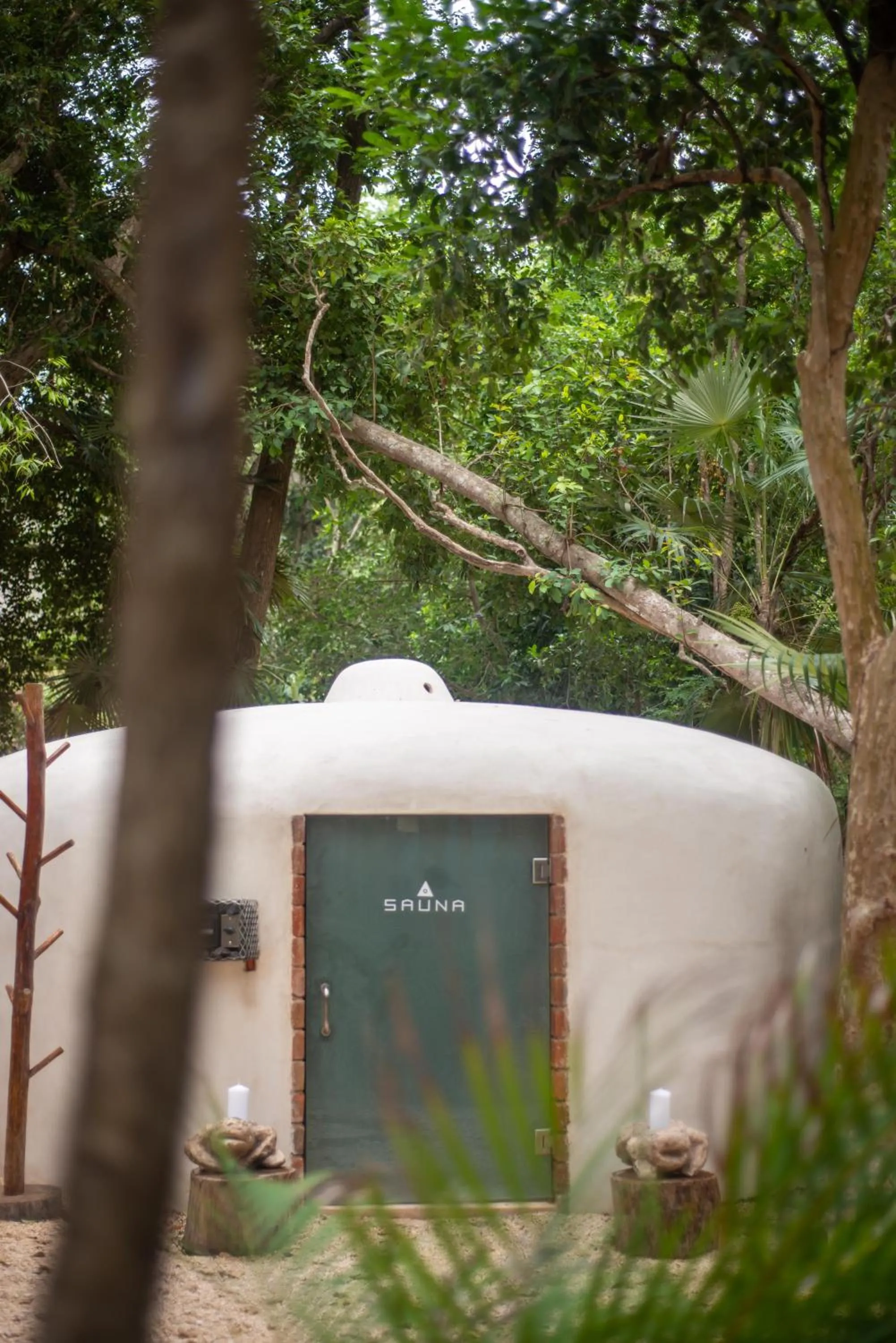 Sauna in Bufo Alvarius