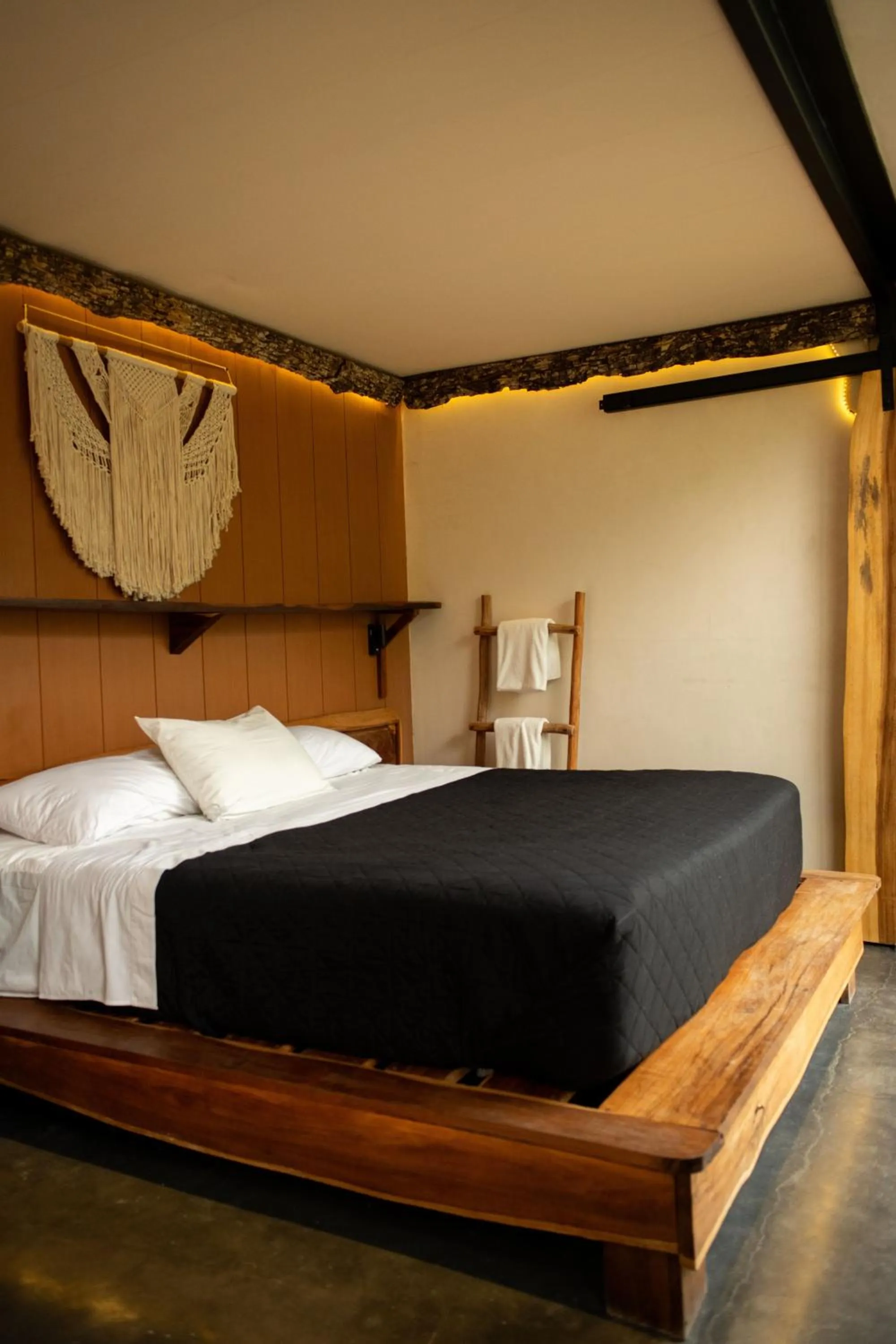 Bed in Bufo Alvarius