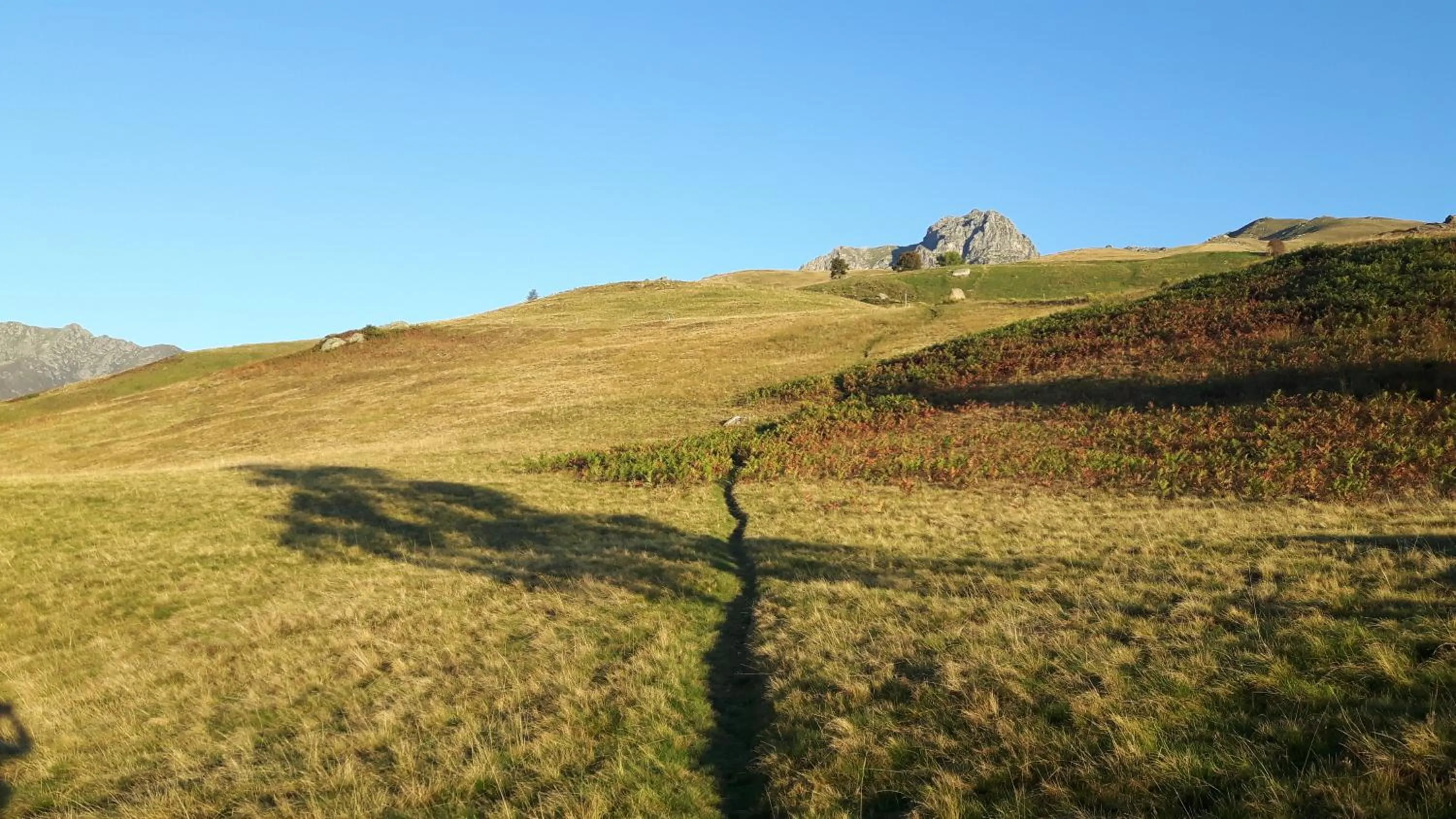 Natural landscape in B&B La Coccinella Biologico
