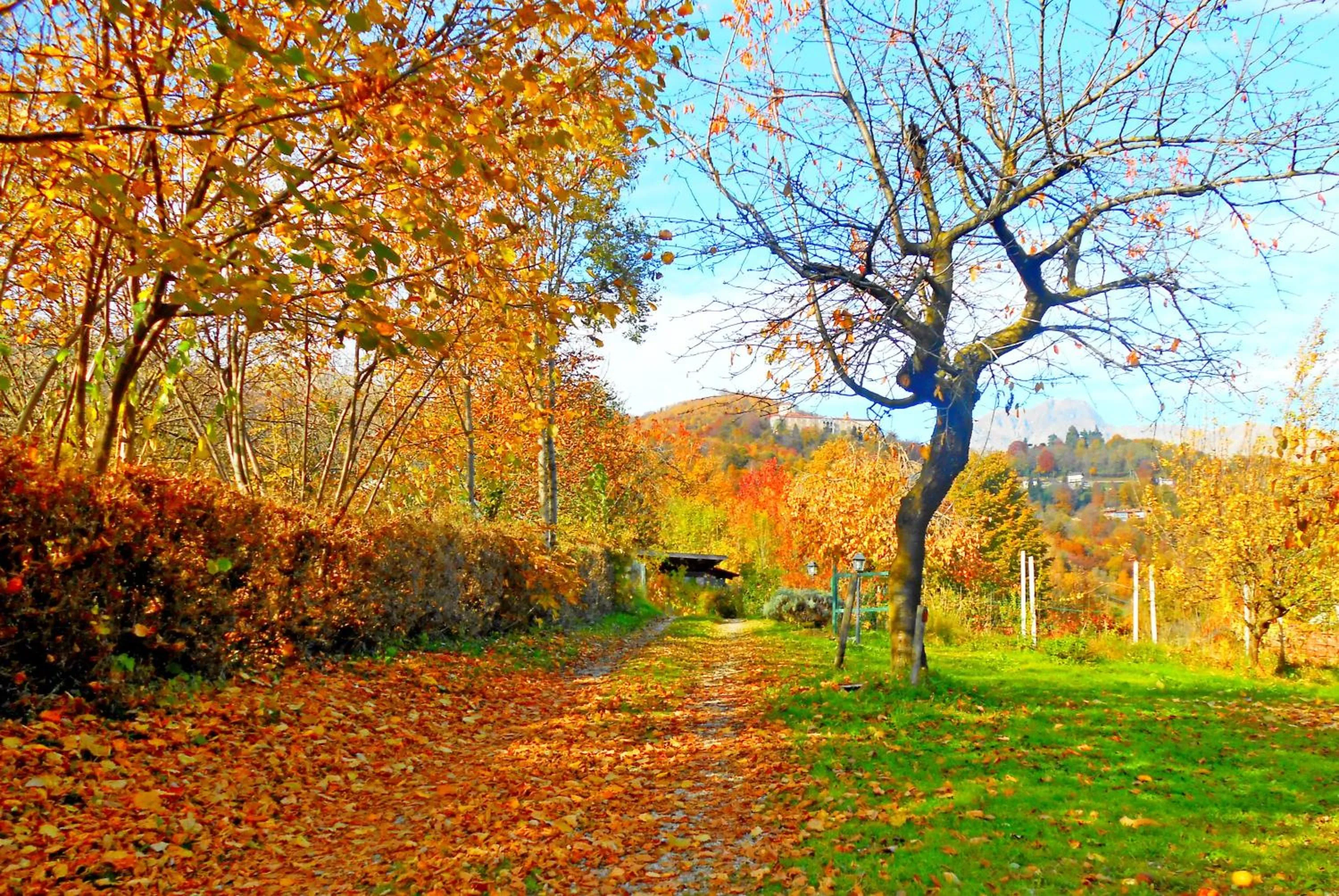 Garden view in B&B La Coccinella Biologico