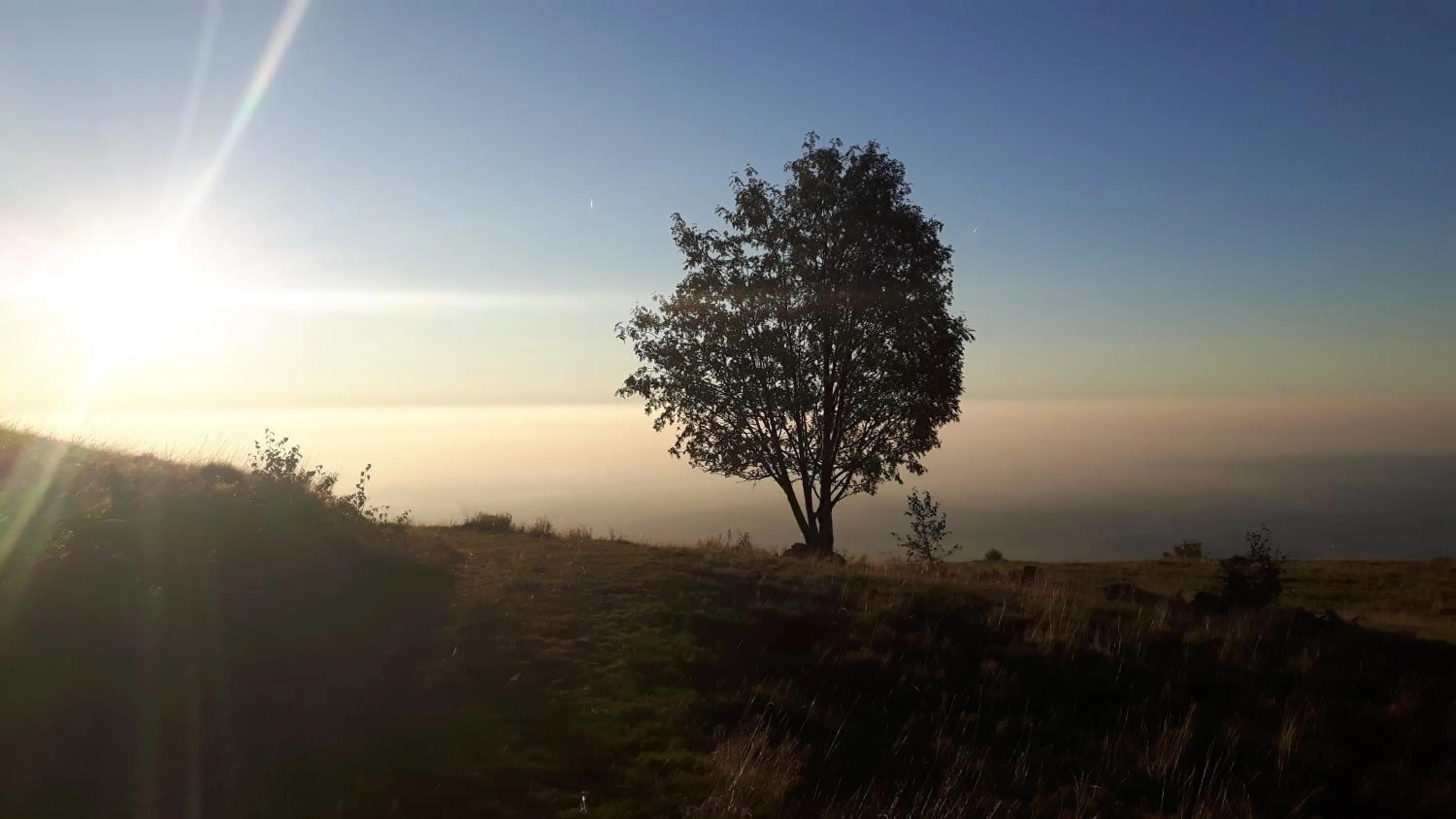 Natural landscape in B&B La Coccinella Biologico