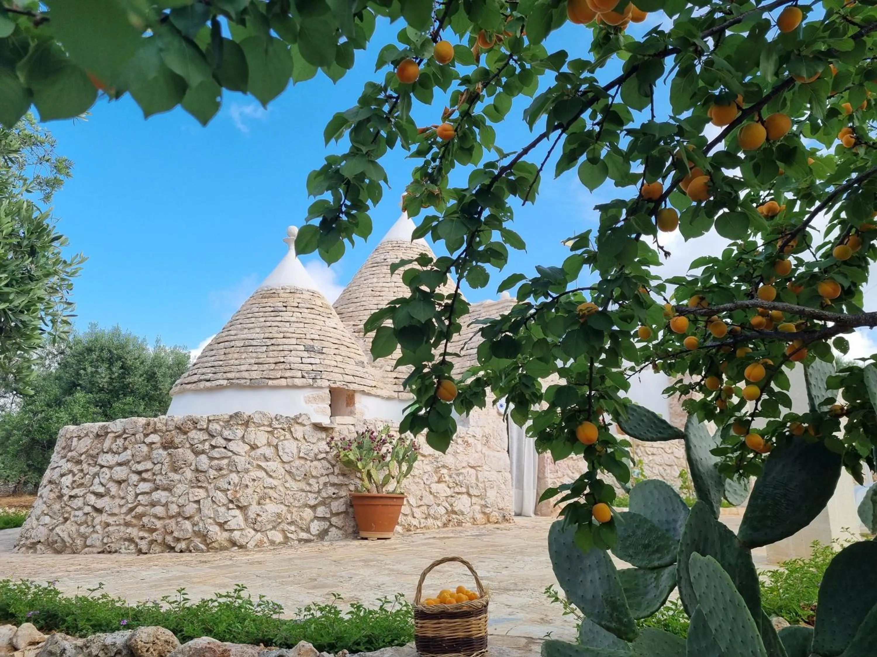 Nearby landmark in Trulli Di Spinaruta