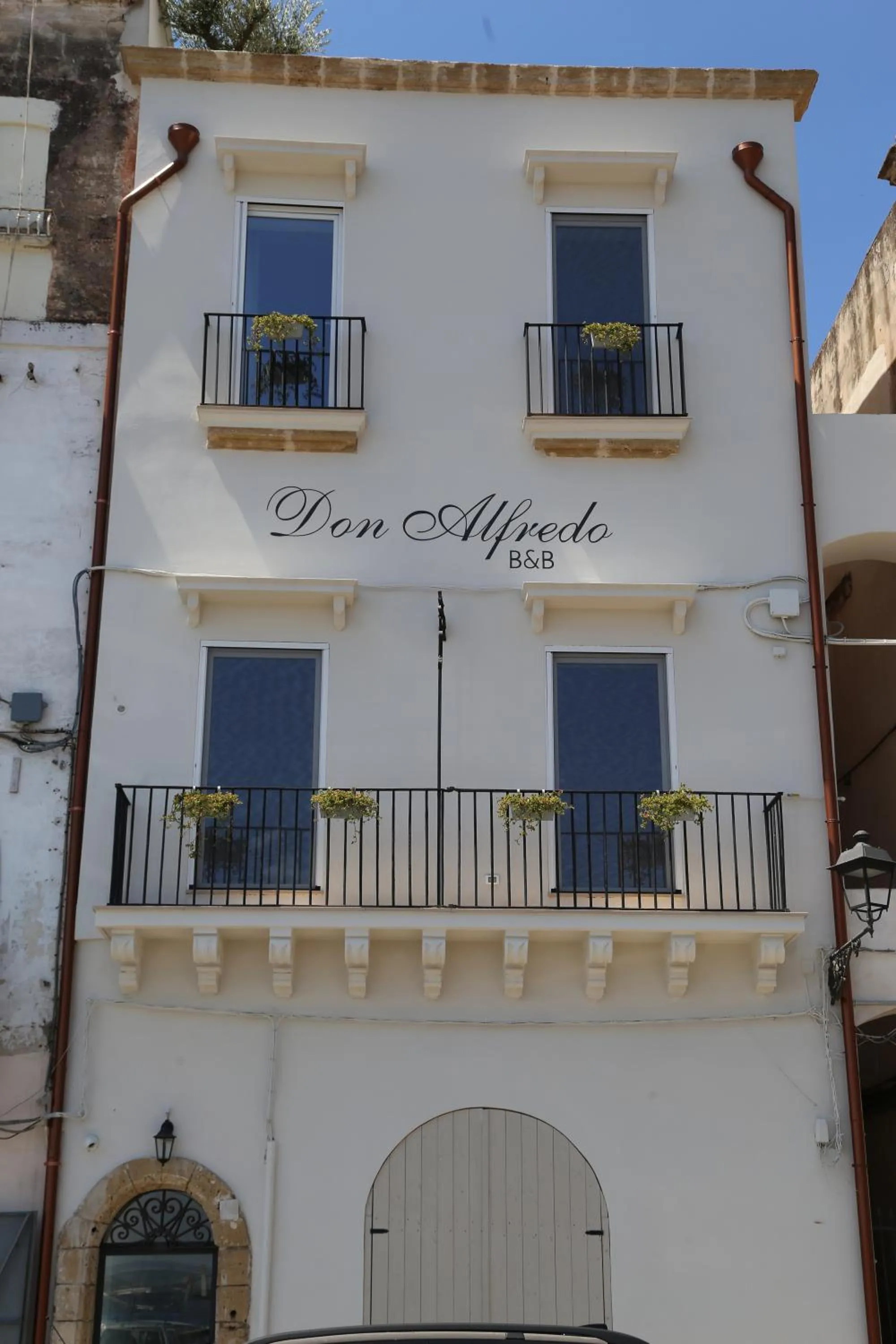 Property building in Don Alfredo