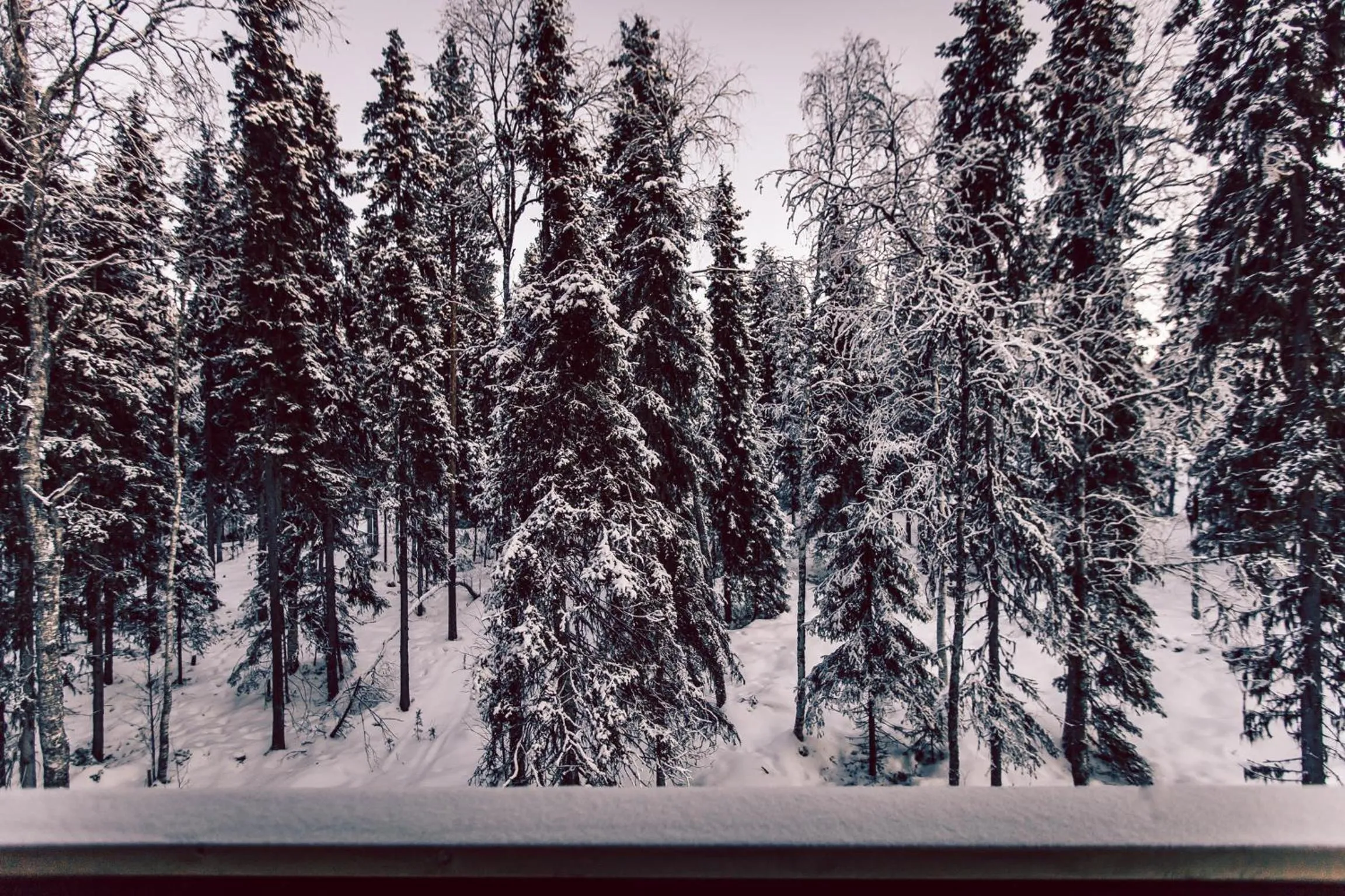 Natural landscape in Villa Happy Fox