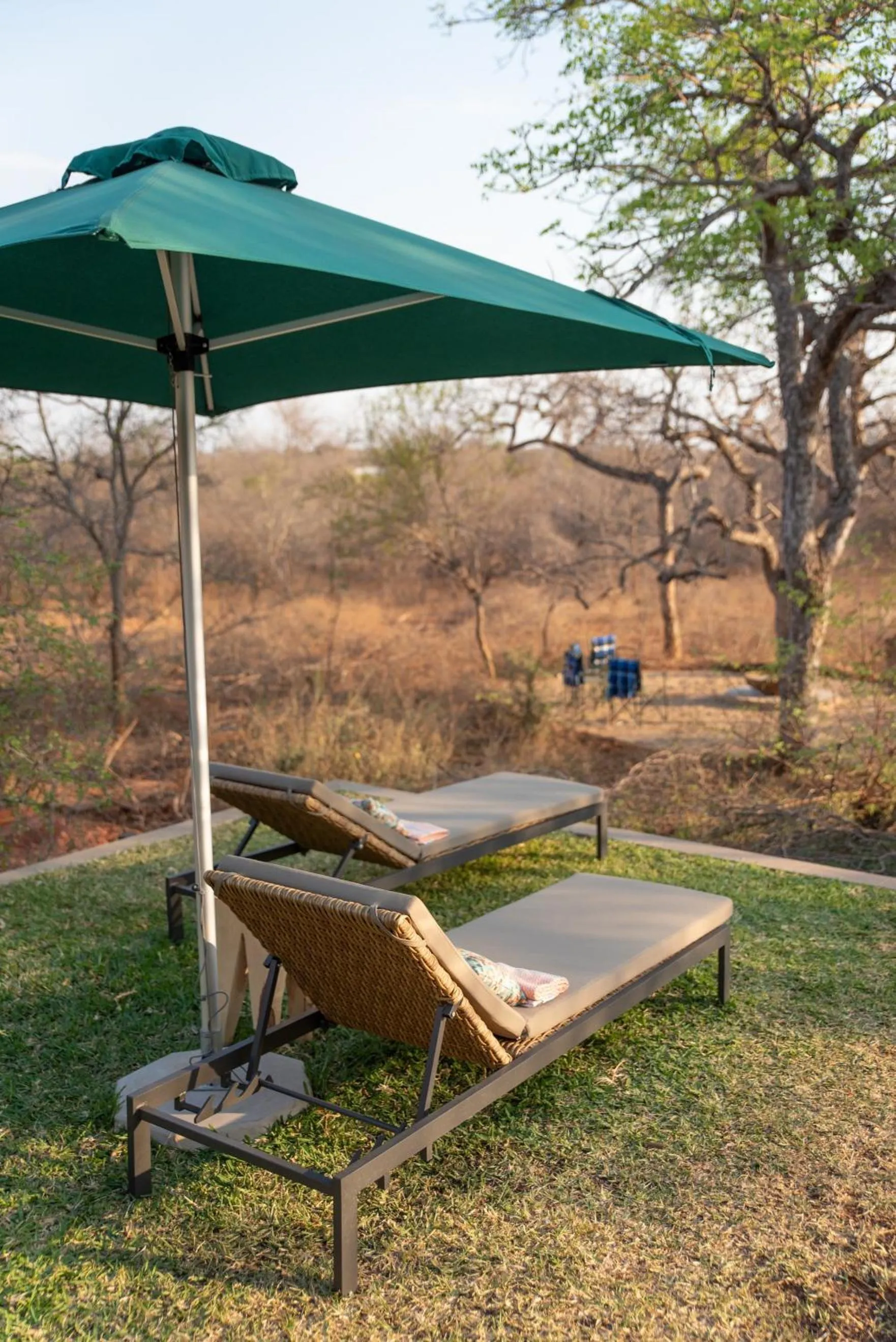 Garden in Moya Safari Villa