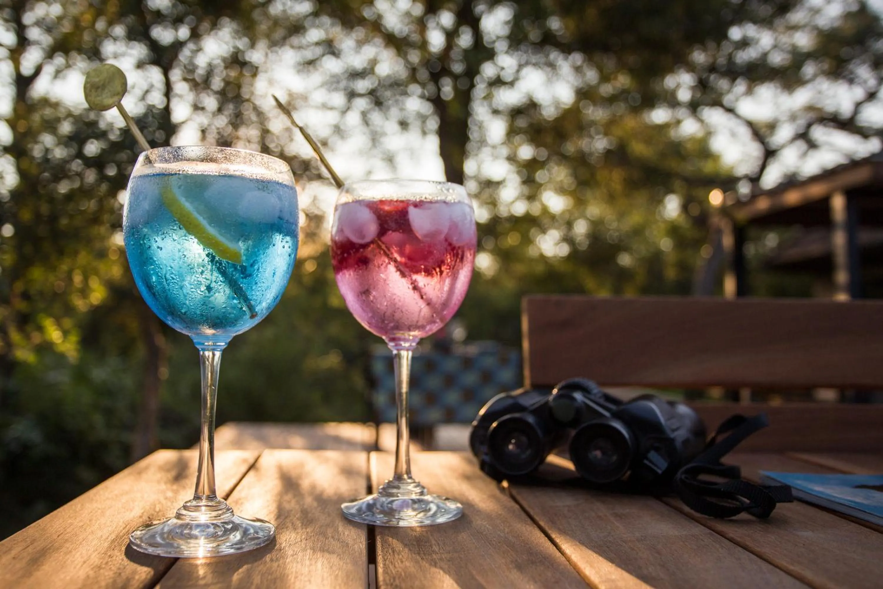 Drinks in Moya Safari Villa