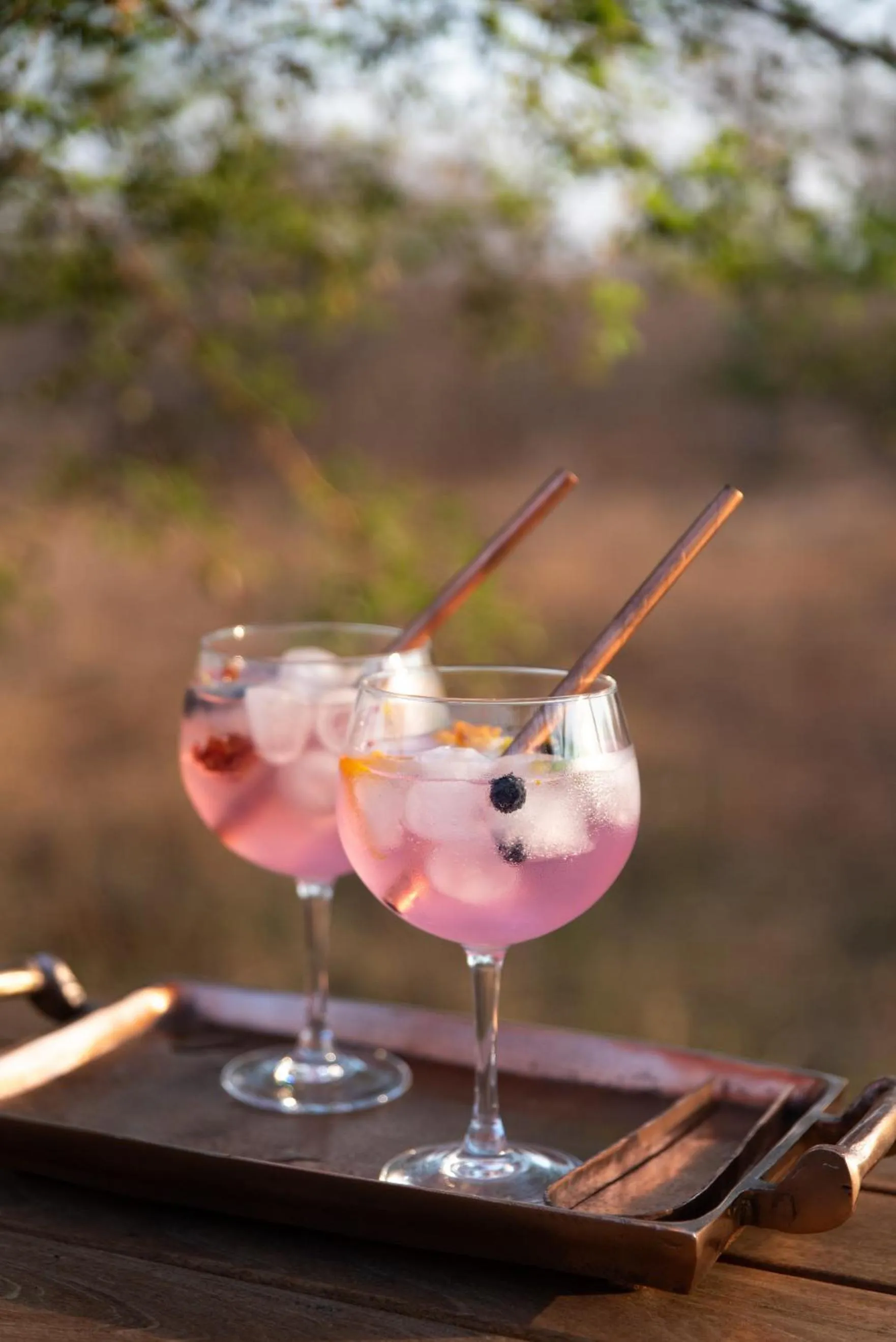 Lounge or bar in Moya Safari Villa