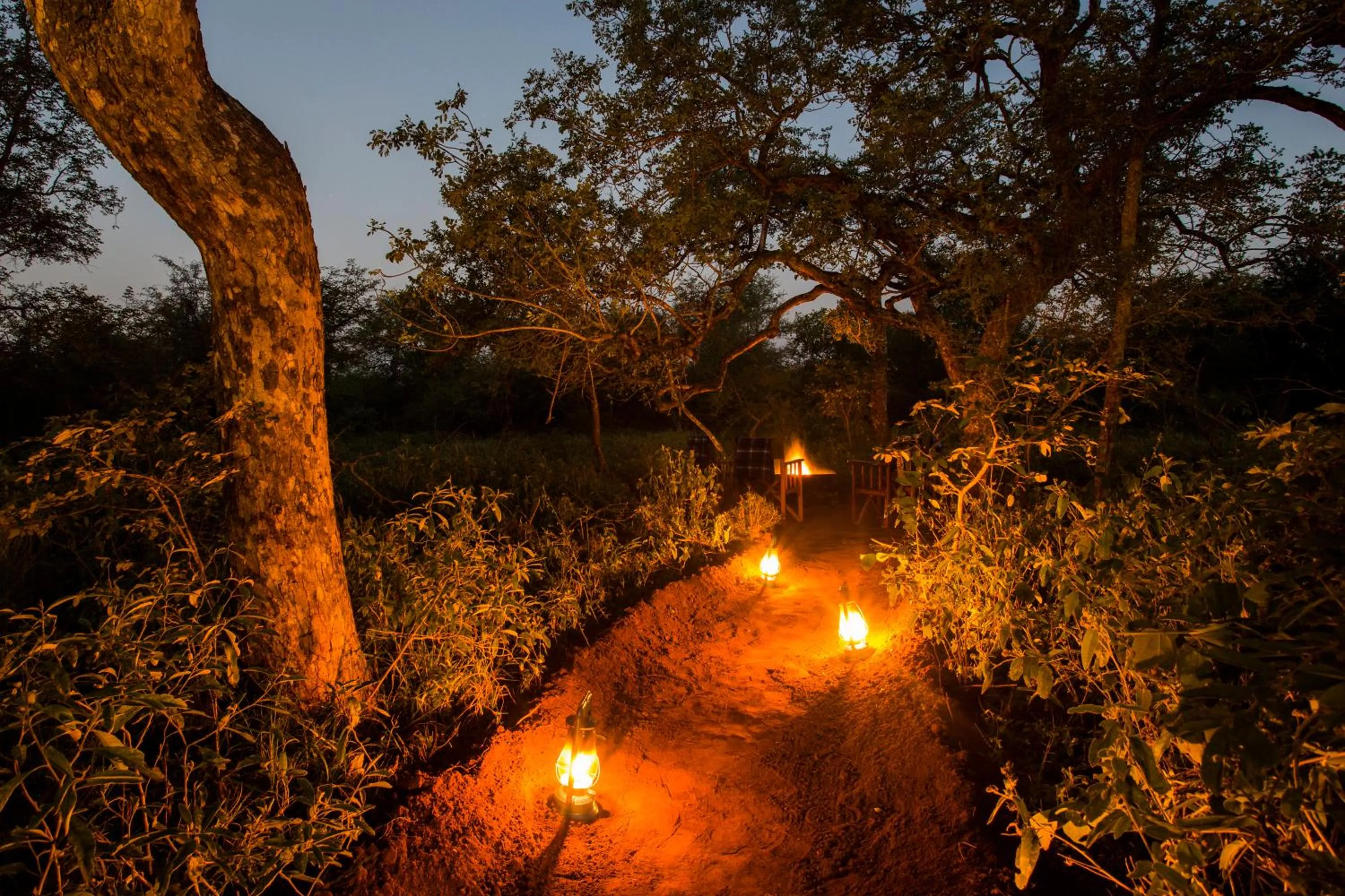 Natural landscape in Moya Safari Villa