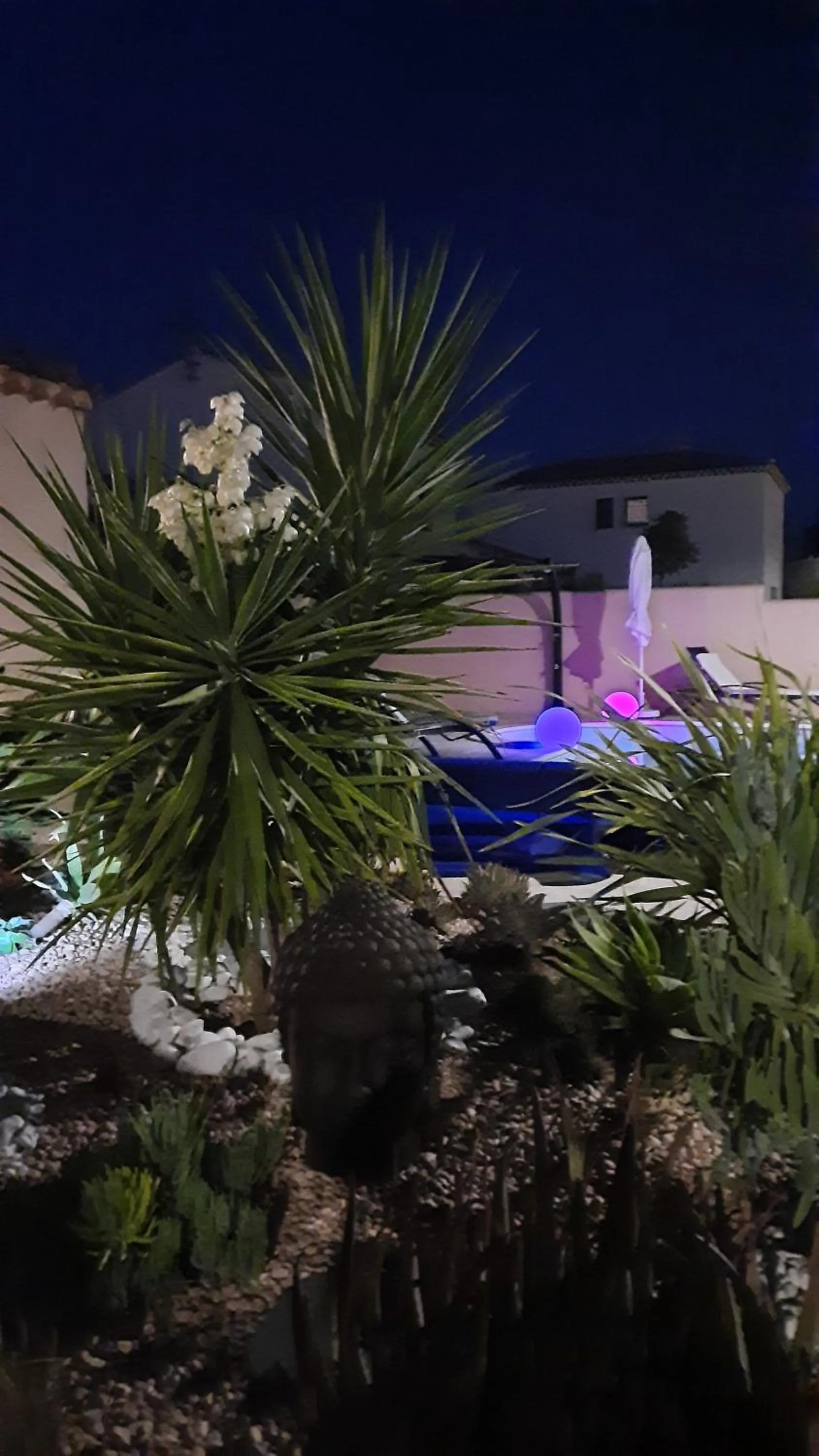 Chambre d'hôtes dans Villa Diane