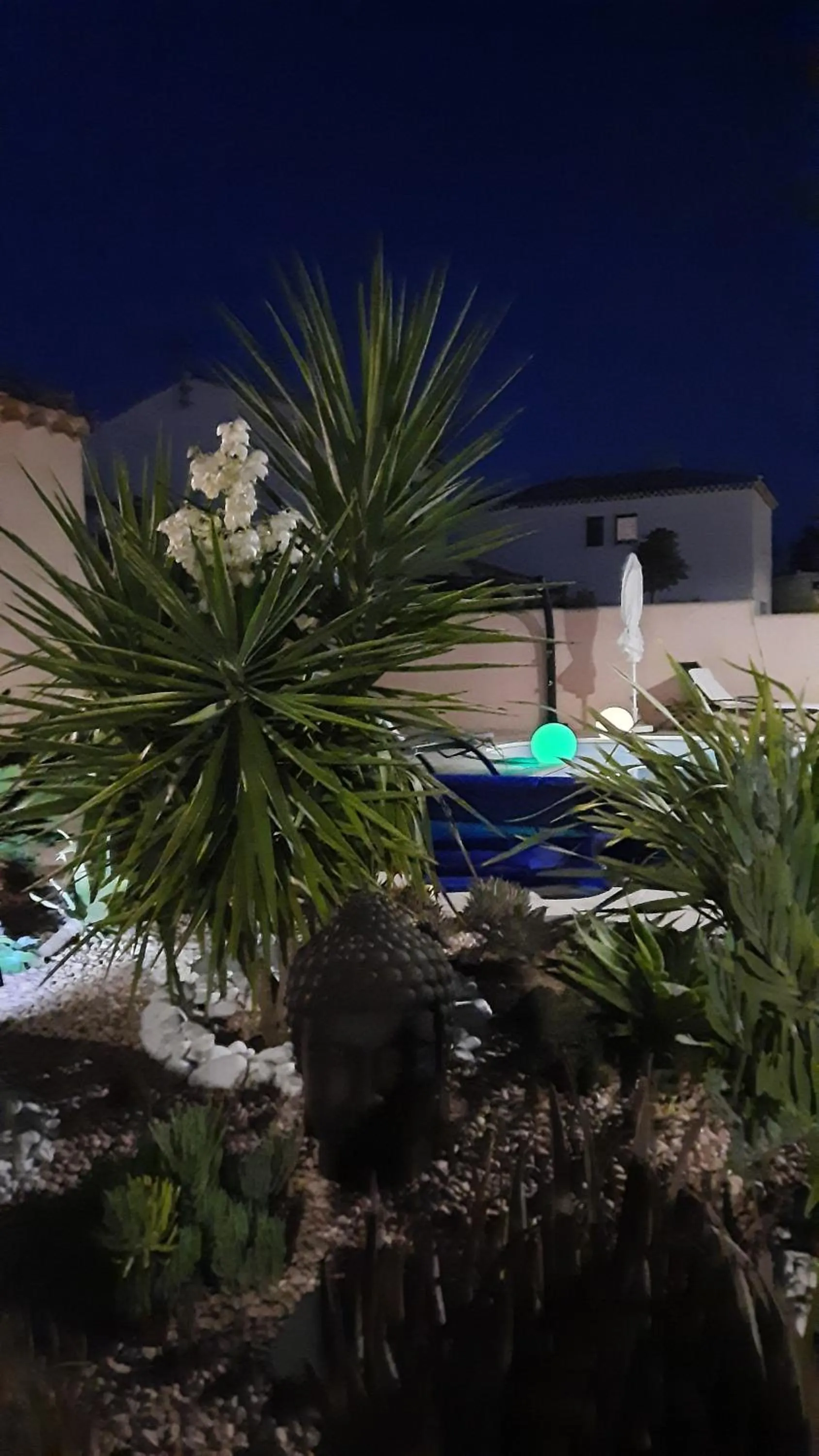 Chambre d'hôtes dans Villa Diane