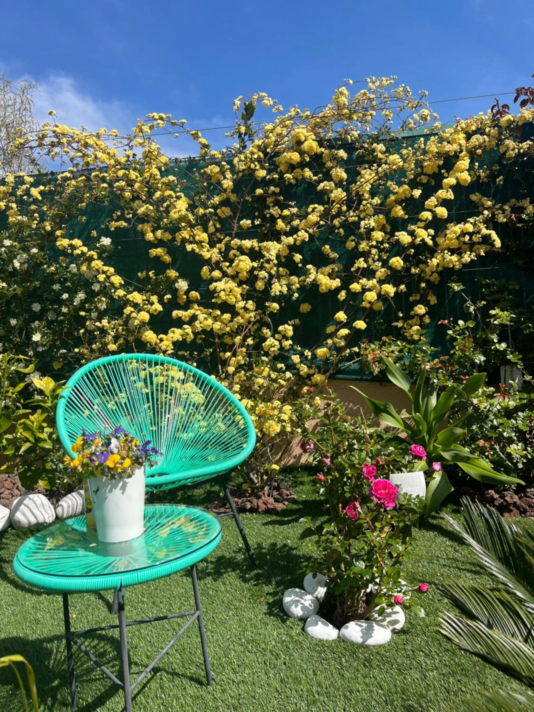 Garden view in Chambre d'hôtes dans Villa Diane