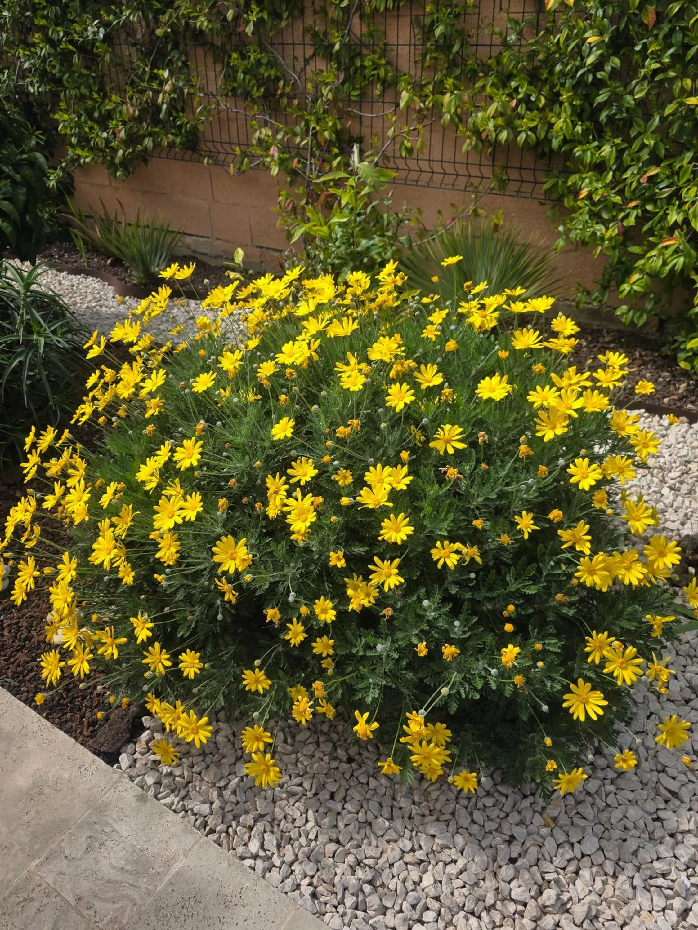 Chambre d'hôtes dans Villa Diane