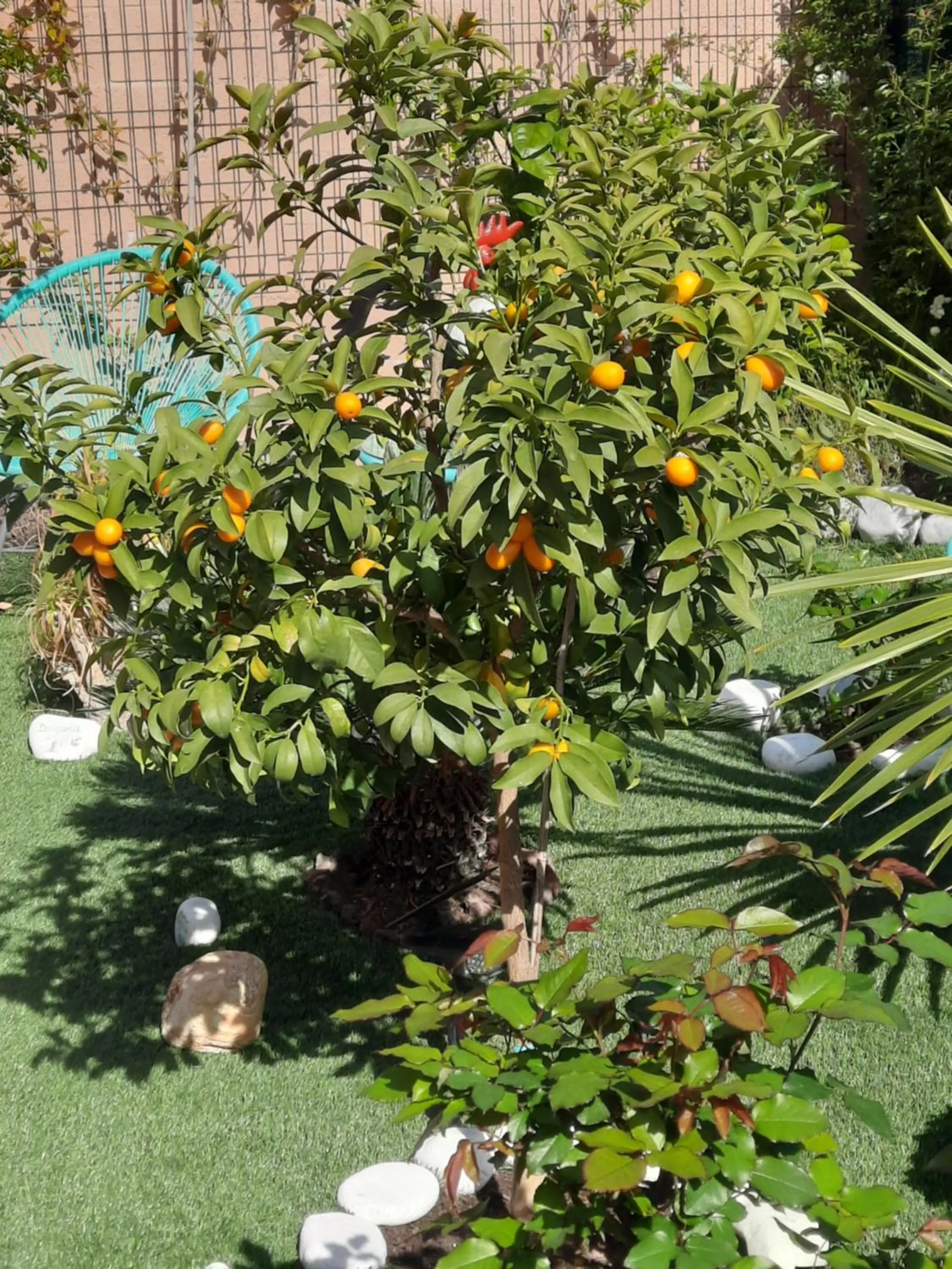 Day in Chambre d'hôtes dans Villa Diane