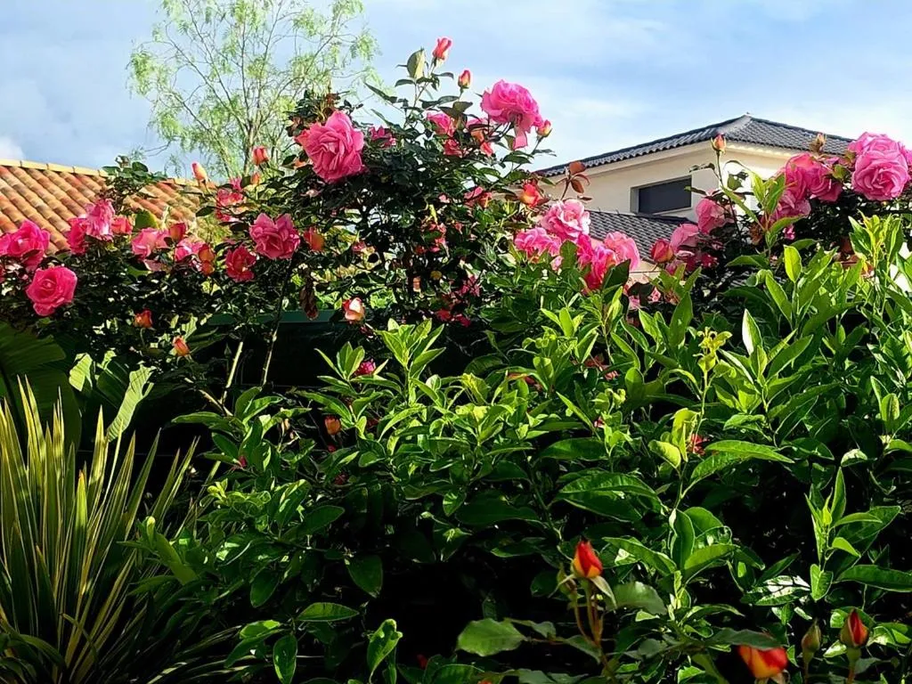 Garden in Chambre d'hôtes dans Villa Diane